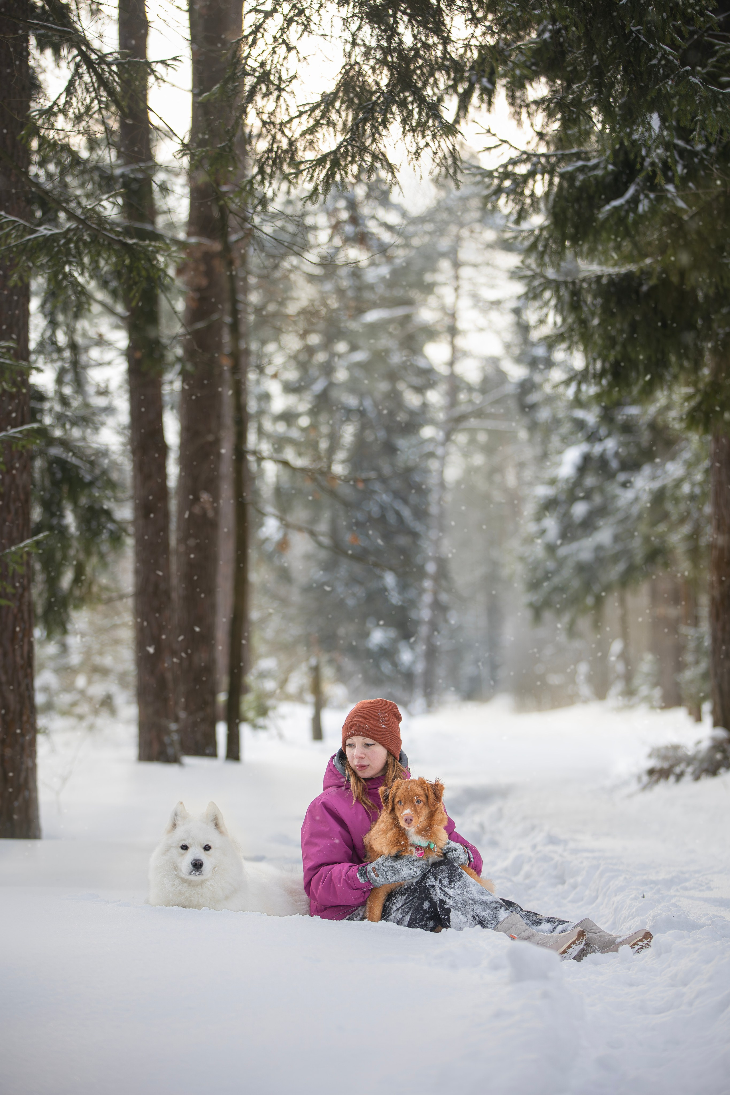 Руби, Николь, Кирилл и Мила. Фотограф анималист в Москве Майорова Евгения