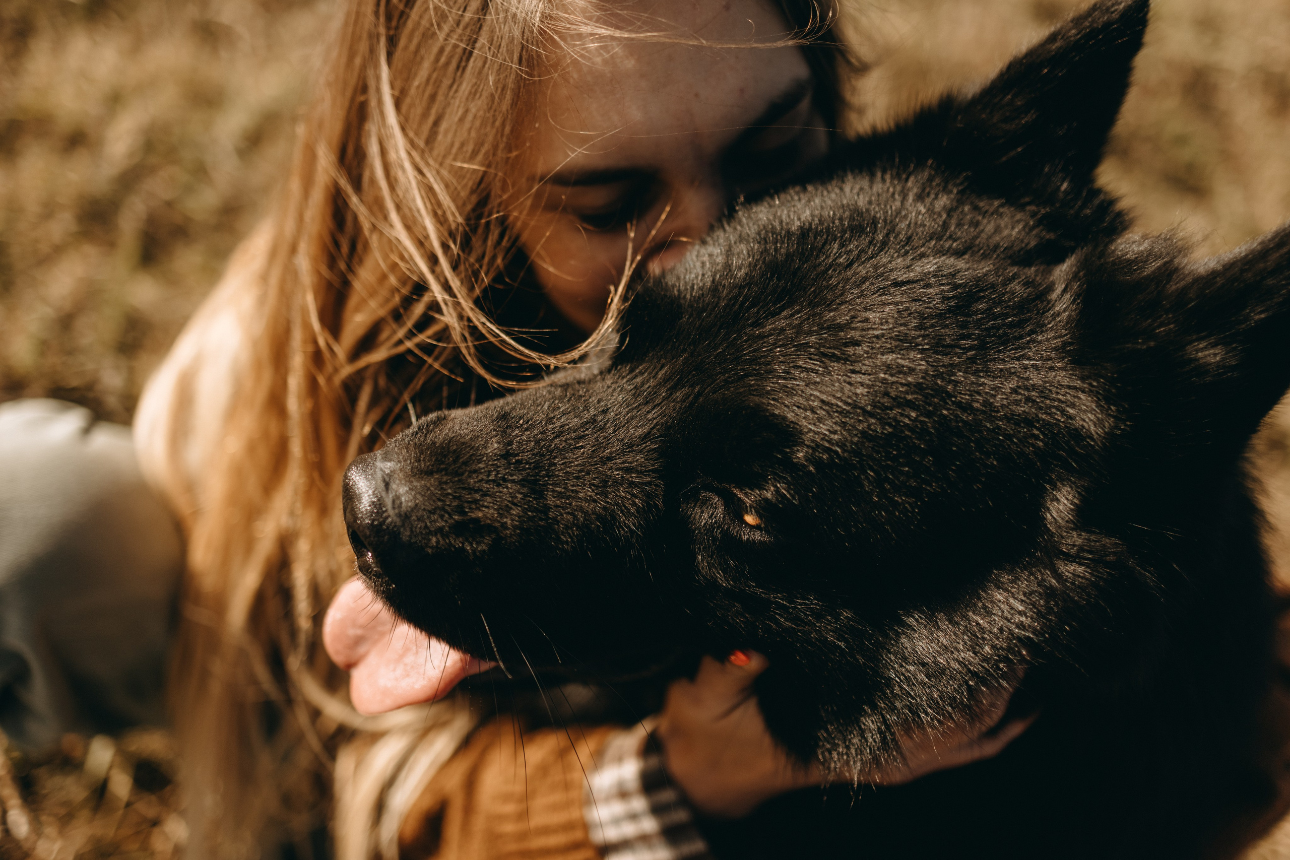 Лора и Джанго. Фотограф — Анималист | Санкт-Петербург