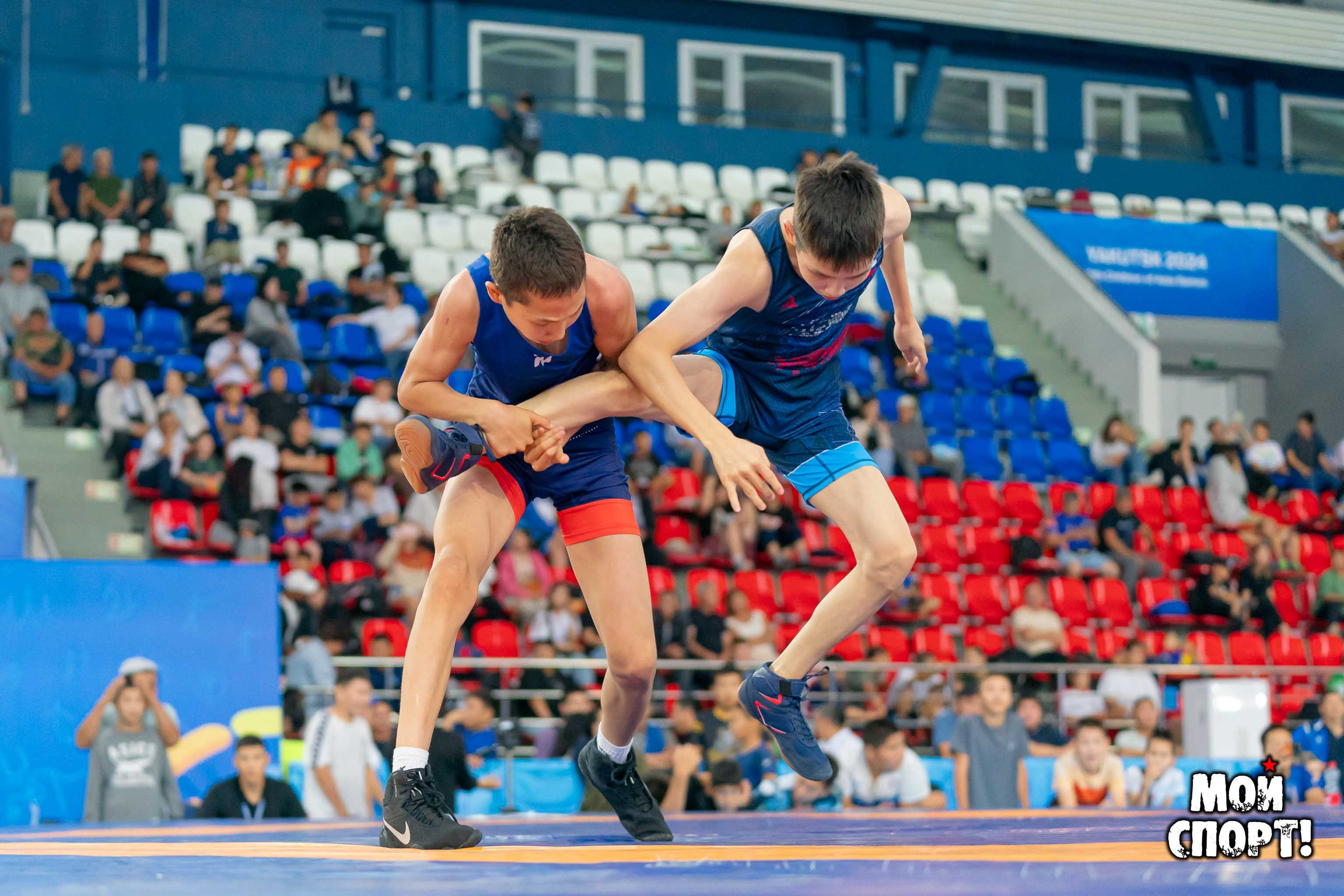 Соревнования по вольной борьбе в честь П. П. Пинигина. Студия «Мой Спорт!» — все о спорте в Якутии