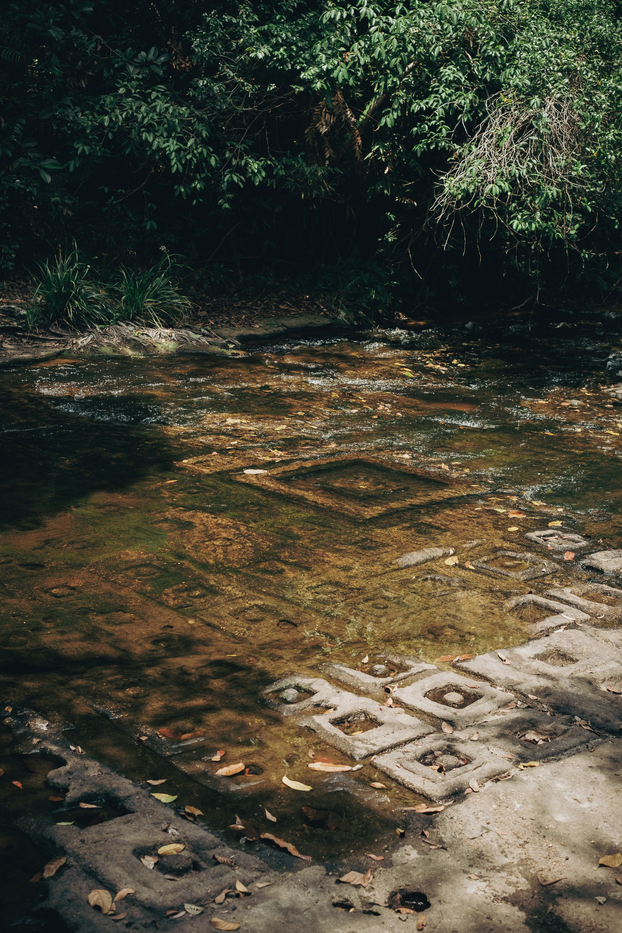 Cambodia. Dmitry Ippolitov