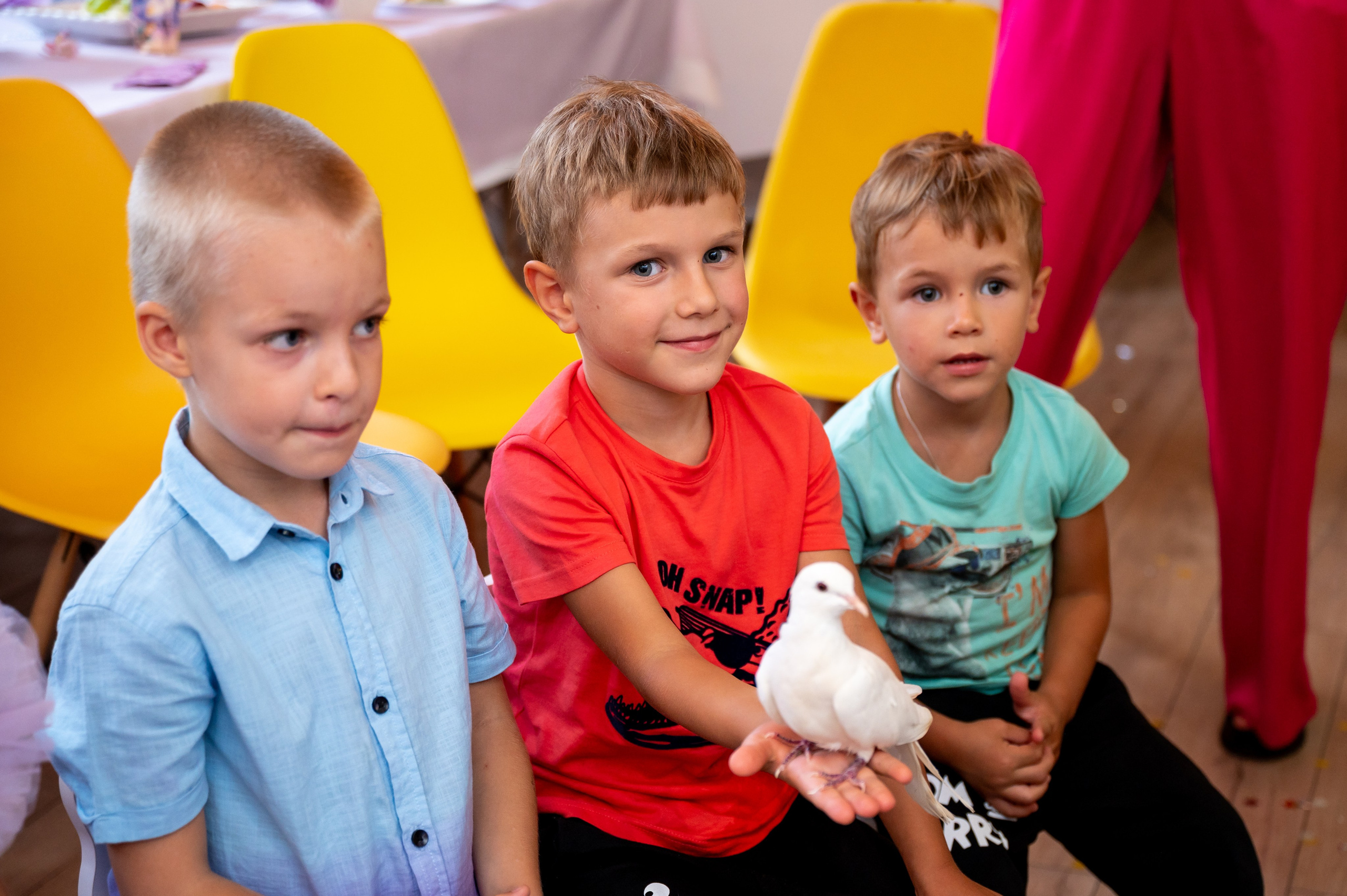 ДР в лофте с фокусником