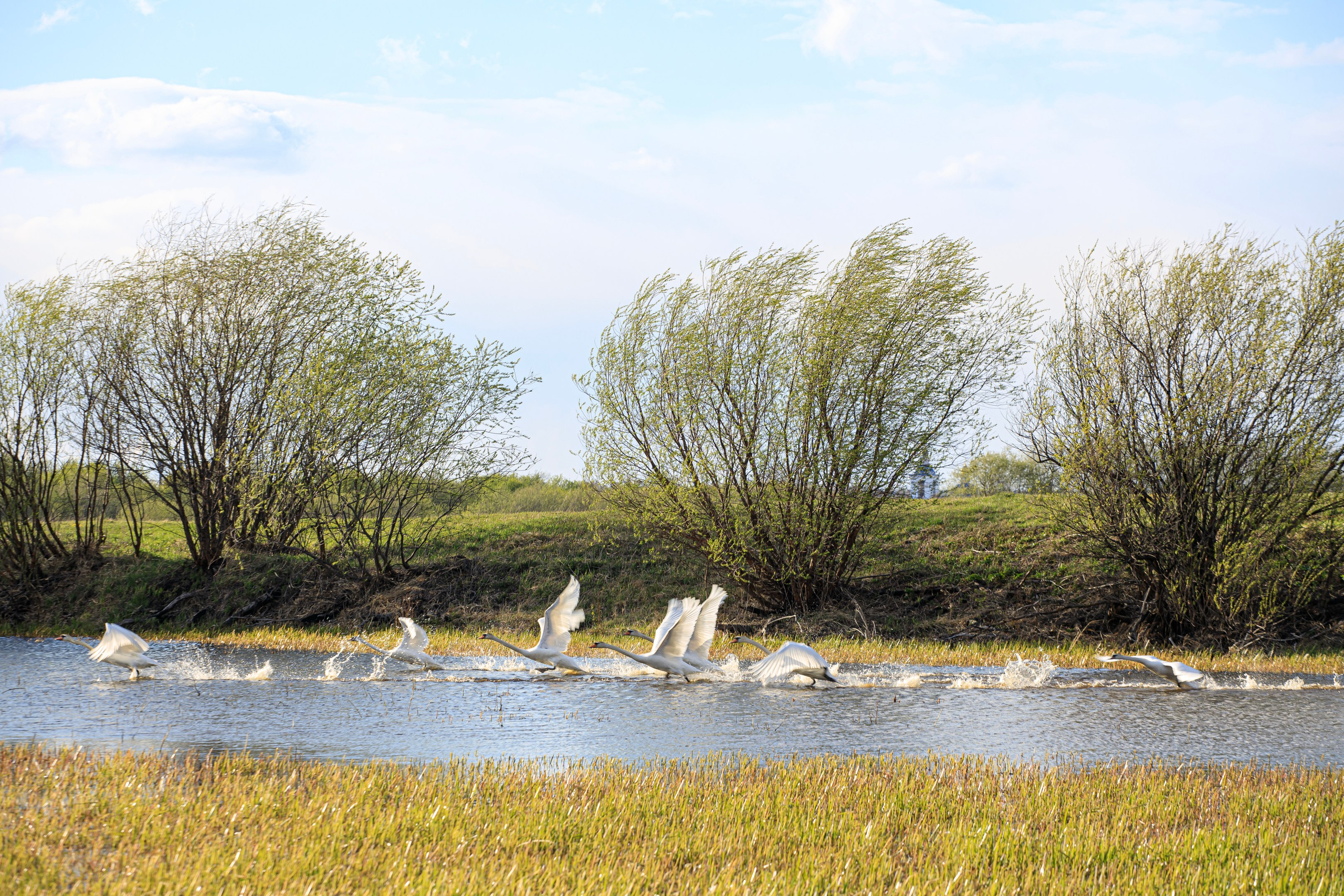 Nature. Фотохудожник Мила Мокина-Хайруллова. Екатеринбург