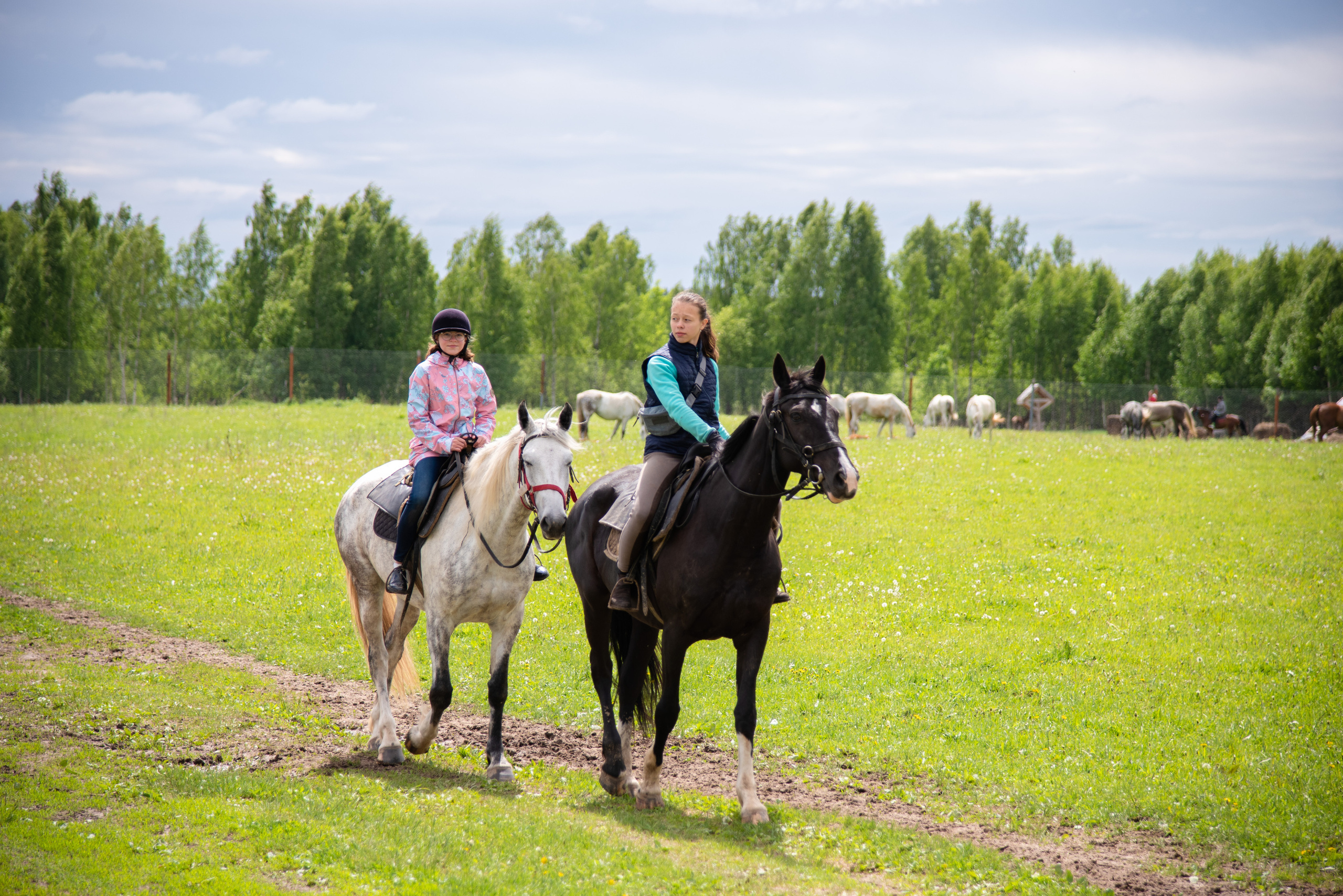 Фотосессия из конного клуба "Серая лошадь" для 6 класса 94 школы. Лапшина Юлия — школьный фотограф в Нижнем Новгороде. Выпускные альбомы
