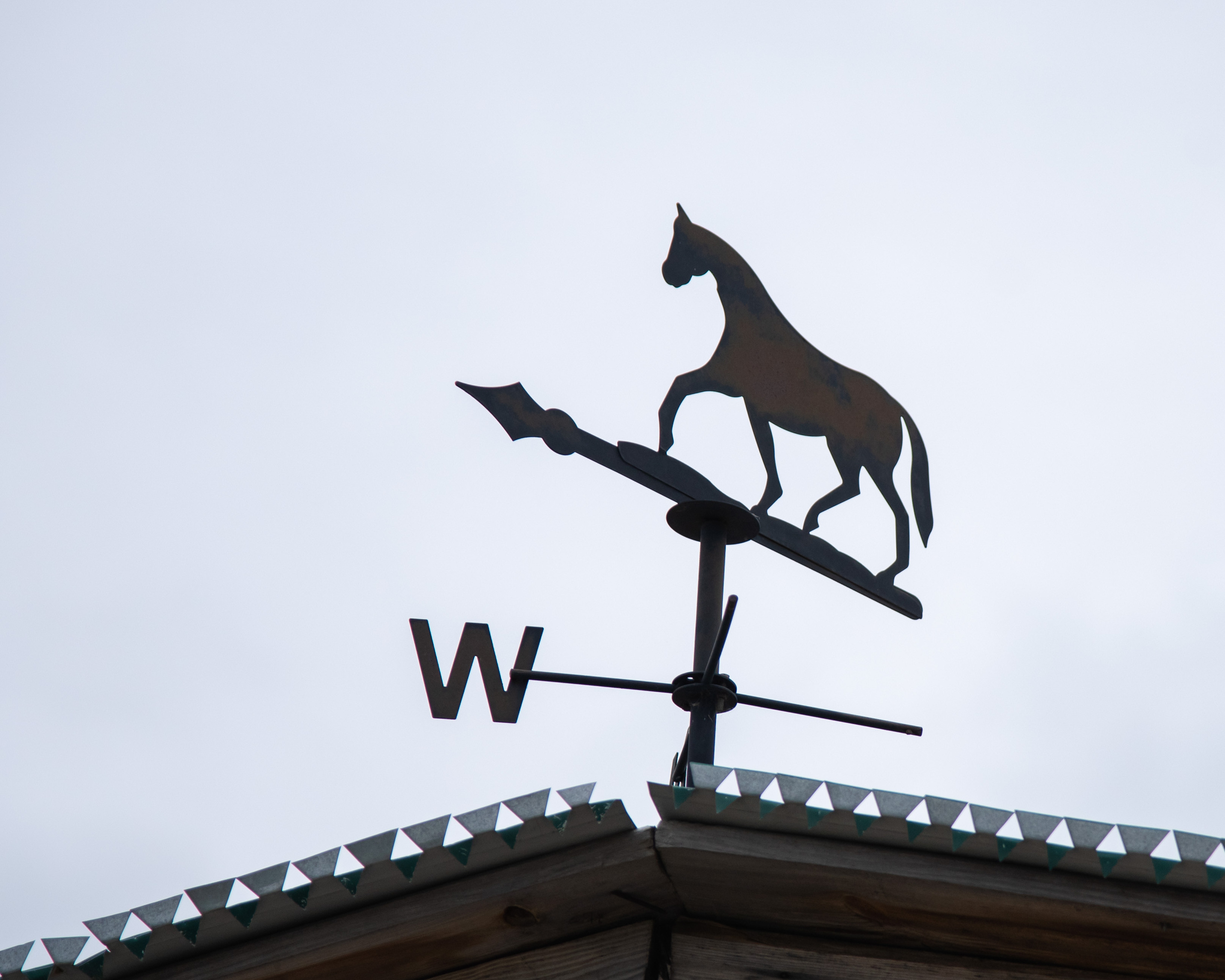 Фотосессия из конного клуба "Серая лошадь" для 6 класса 94 школы. Лапшина Юлия — школьный фотограф в Нижнем Новгороде. Выпускные альбомы