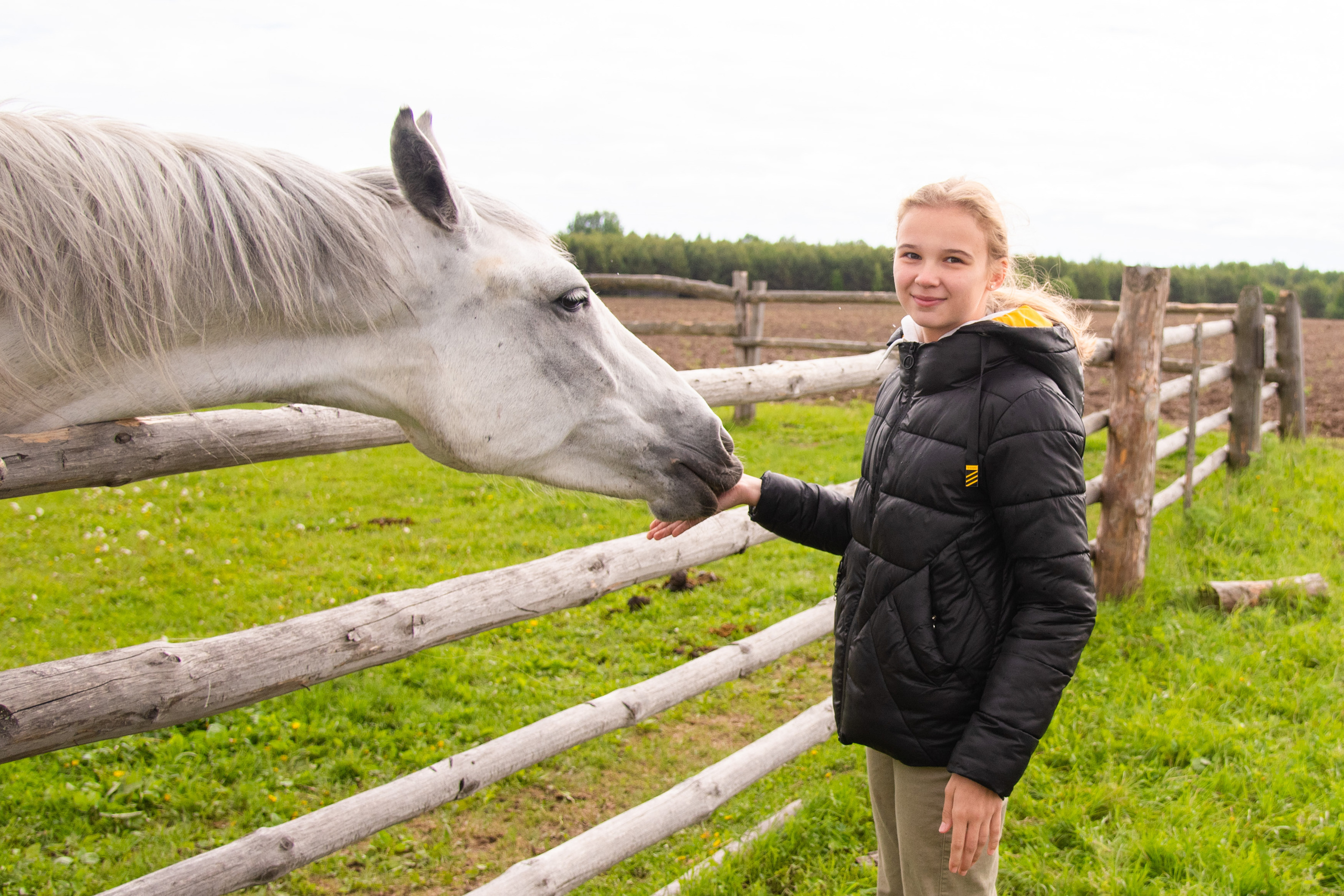 Фотосессия из конного клуба "Серая лошадь" для 6 класса 94 школы. Лапшина Юлия — школьный фотограф в Нижнем Новгороде. Выпускные альбомы