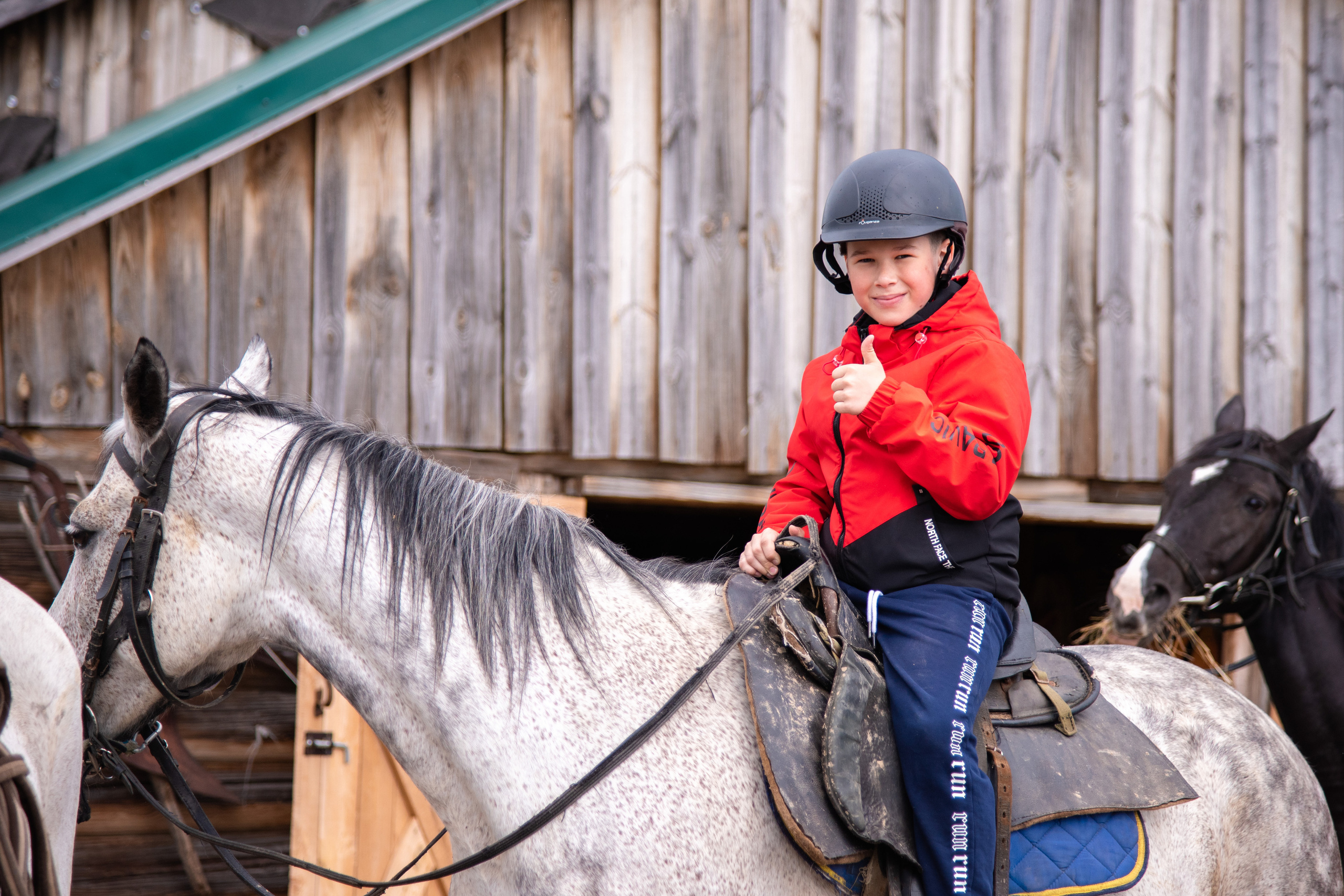 Фотосессия из конного клуба "Серая лошадь" для 6 класса 94 школы. Лапшина Юлия — школьный фотограф в Нижнем Новгороде. Выпускные альбомы