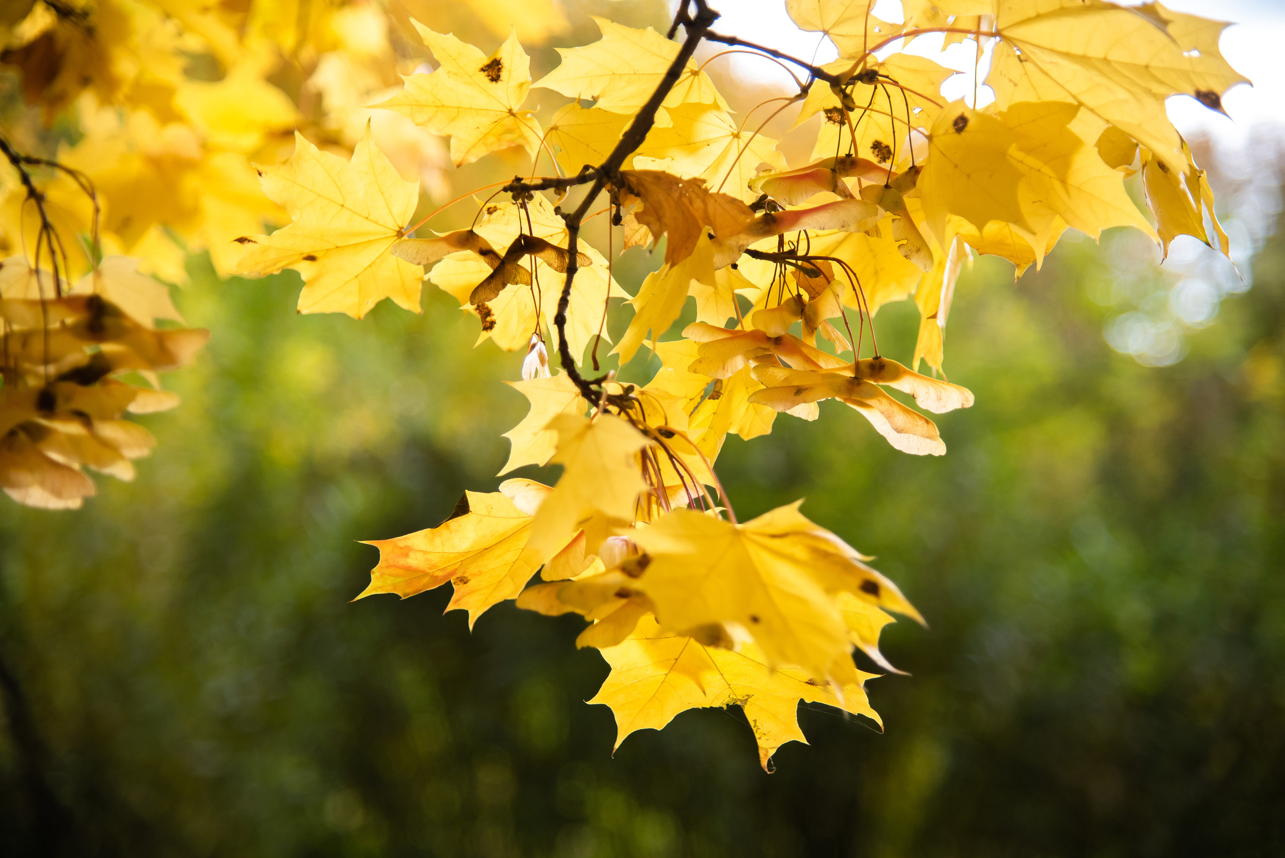 Фотографии со школьной экскурсии в село Большое Болдино. Лапшина Юлия — школьный фотограф в Нижнем Новгороде. Выпускные альбомы