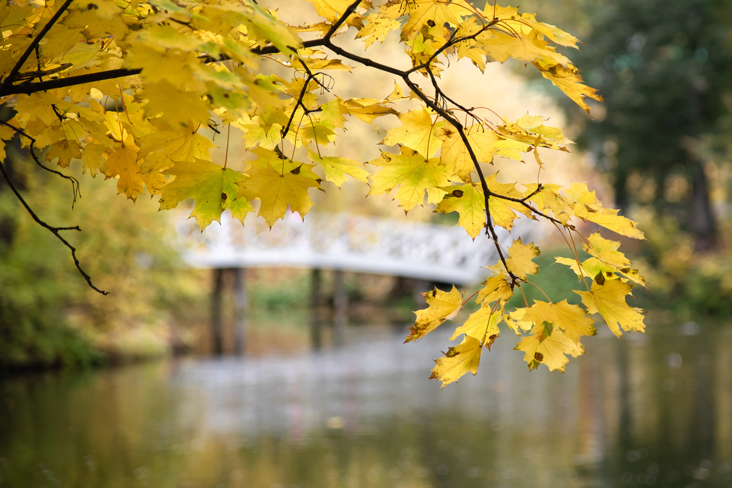 Фотографии со школьной экскурсии в село Большое Болдино. Лапшина Юлия — школьный фотограф в Нижнем Новгороде. Выпускные альбомы
