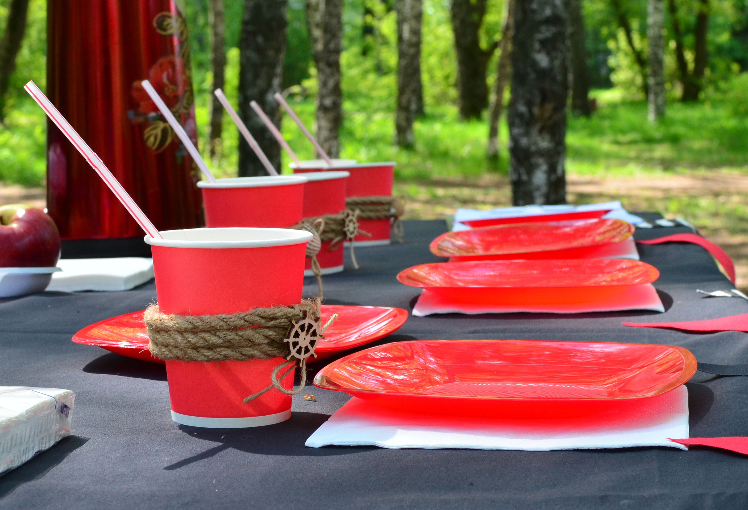 Фотосессия крутого дня рождения в стиле "Школы пиратов" в Н. Новгороде. Лапшина Юлия — школьный фотограф в Нижнем Новгороде. Выпускные альбомы