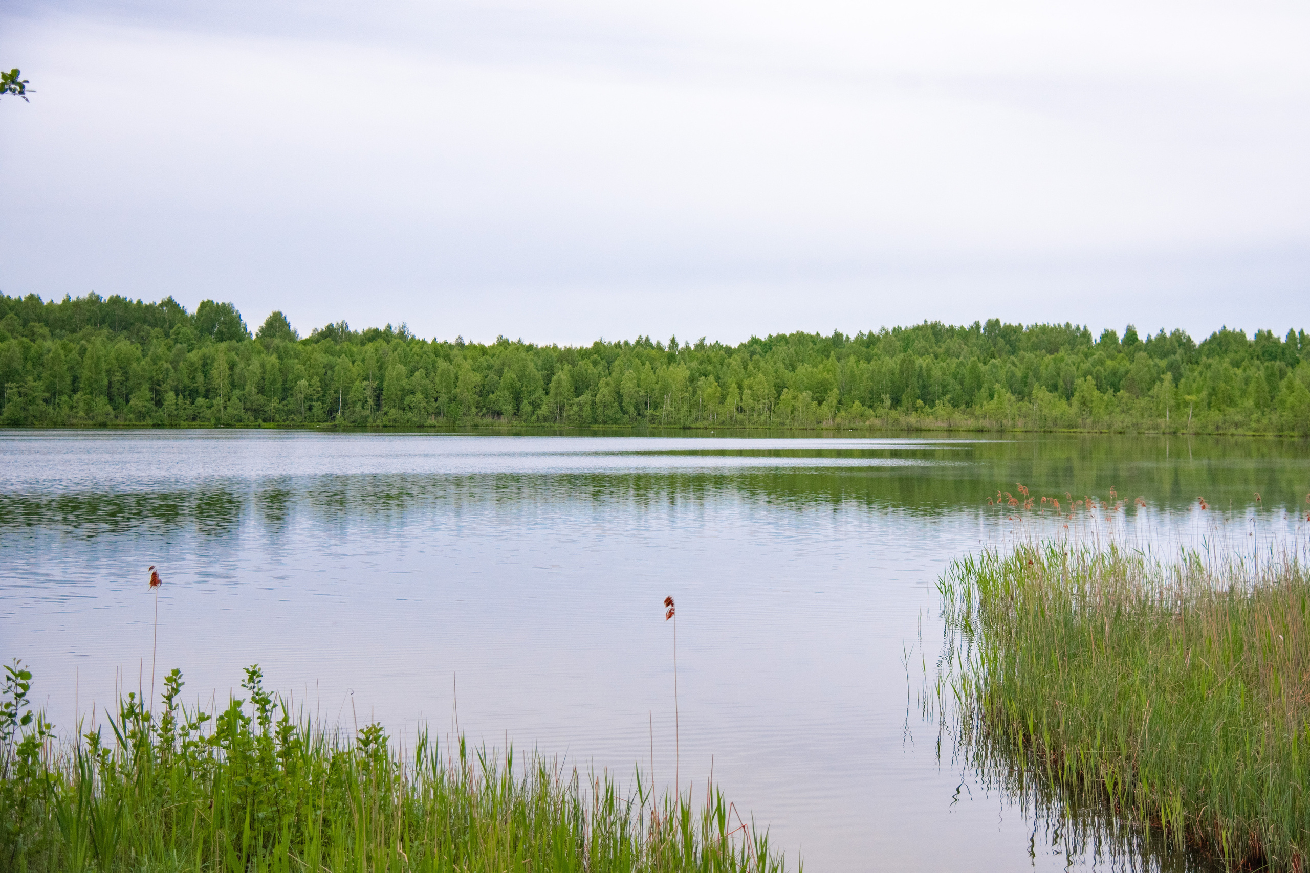 Фотосессия из конного клуба "Серая лошадь" для 6 класса 94 школы. Лапшина Юлия — школьный фотограф в Нижнем Новгороде. Выпускные альбомы