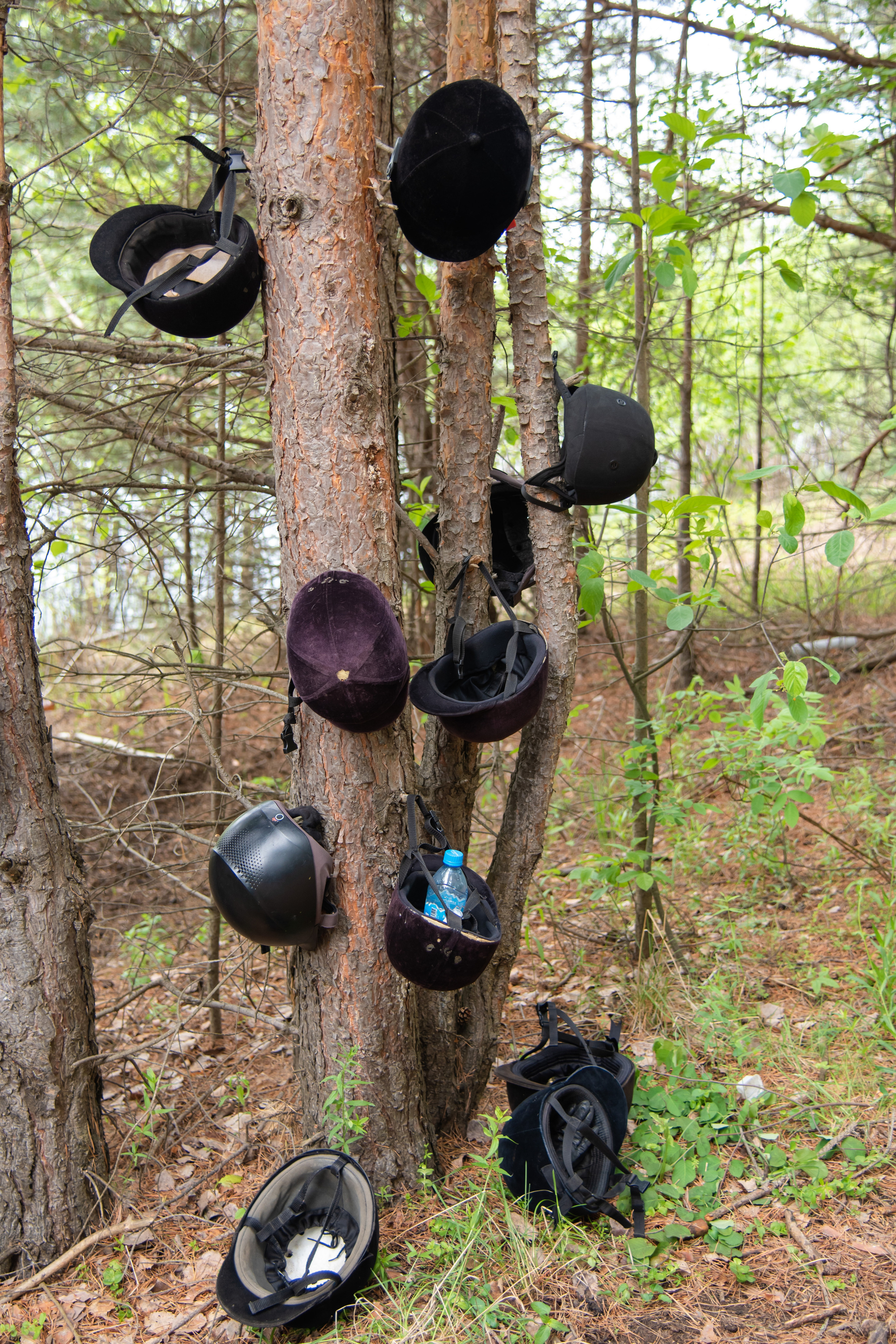 Фотосессия из конного клуба "Серая лошадь" для 6 класса 94 школы. Лапшина Юлия — школьный фотограф в Нижнем Новгороде. Выпускные альбомы