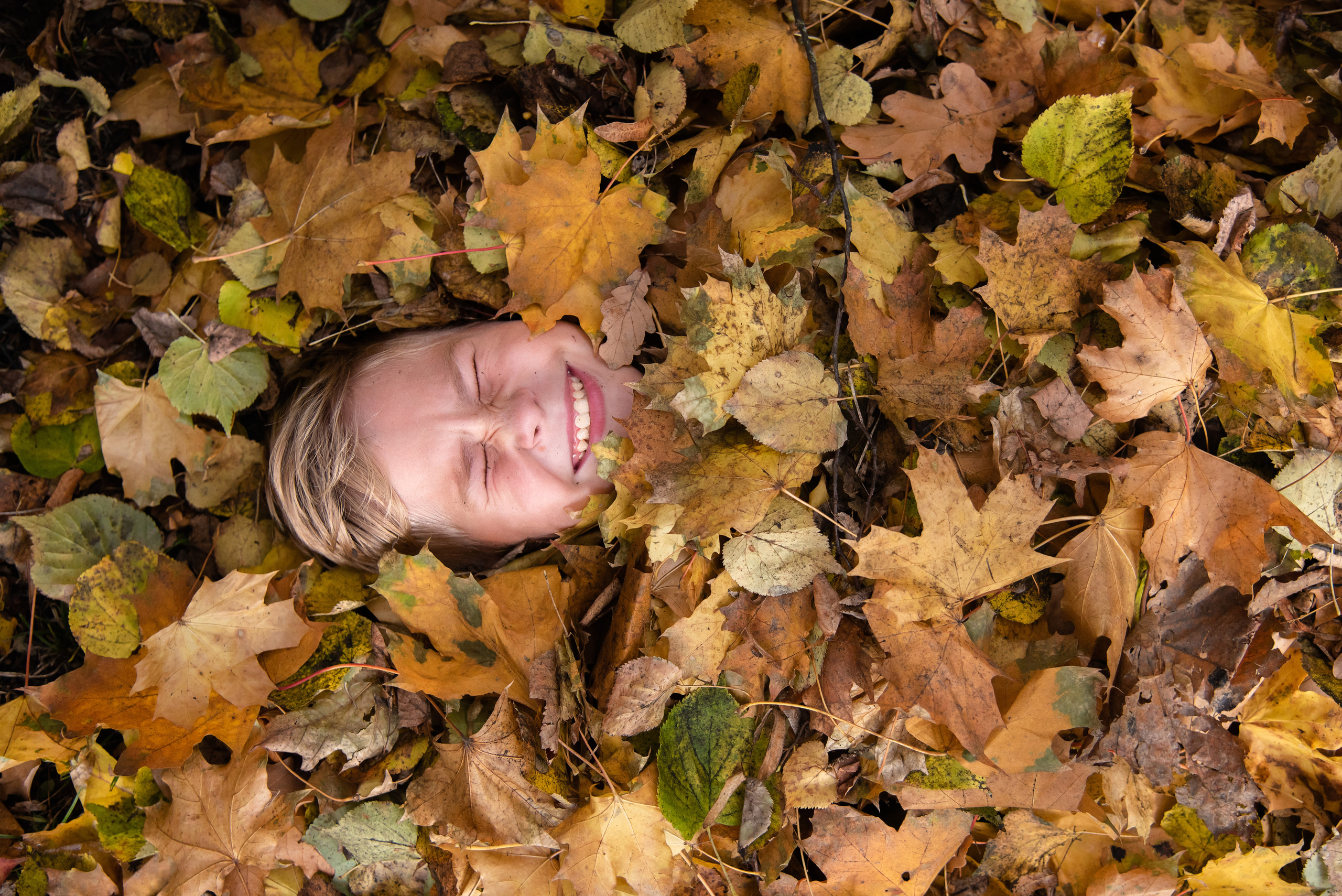 Фотографии со школьной экскурсии в село Большое Болдино. Лапшина Юлия — школьный фотограф в Нижнем Новгороде. Выпускные альбомы