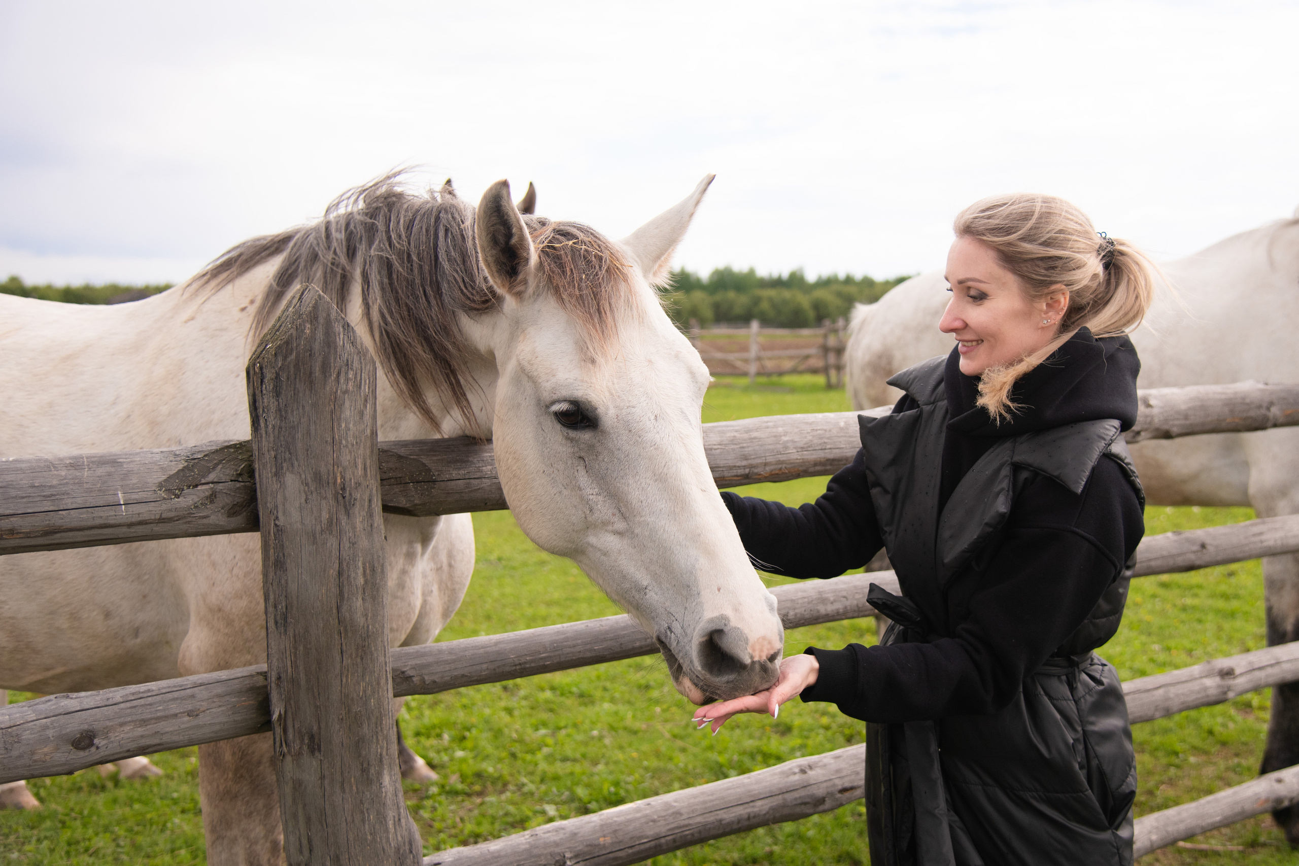 Фотосессия из конного клуба "Серая лошадь" для 6 класса 94 школы. Лапшина Юлия — школьный фотограф в Нижнем Новгороде. Выпускные альбомы