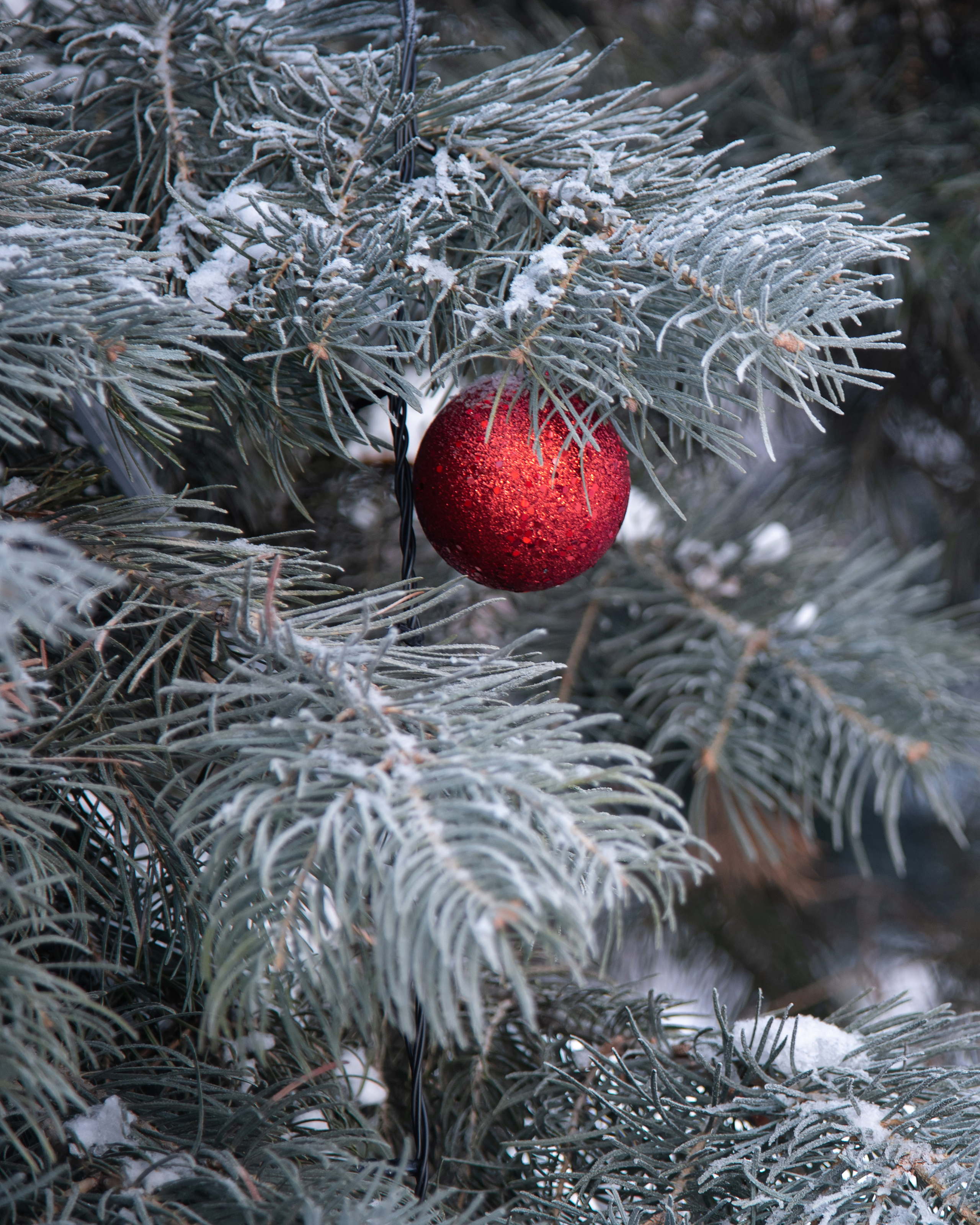 Школьная фотосессия в Парке 1 мая г.Нижнего Новгорода. Лапшина Юлия — школьный фотограф в Нижнем Новгороде. Выпускные альбомы