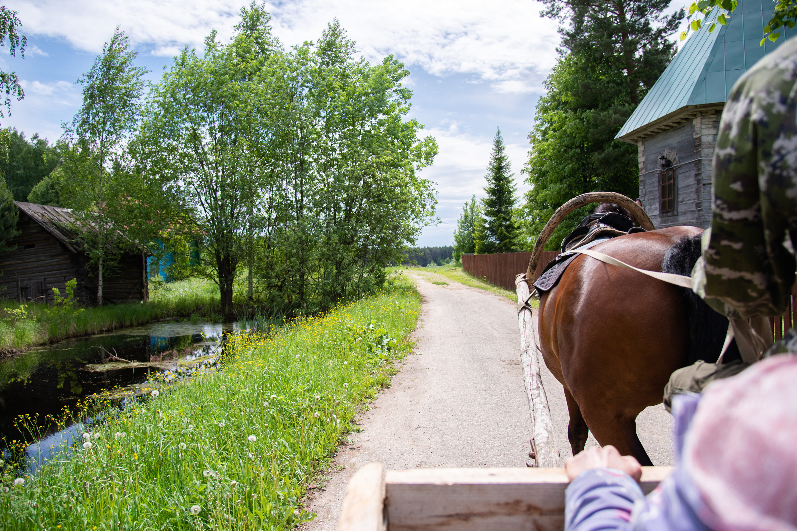 Фотосессия из конного клуба "Серая лошадь" для 6 класса 94 школы. Лапшина Юлия — школьный фотограф в Нижнем Новгороде. Выпускные альбомы