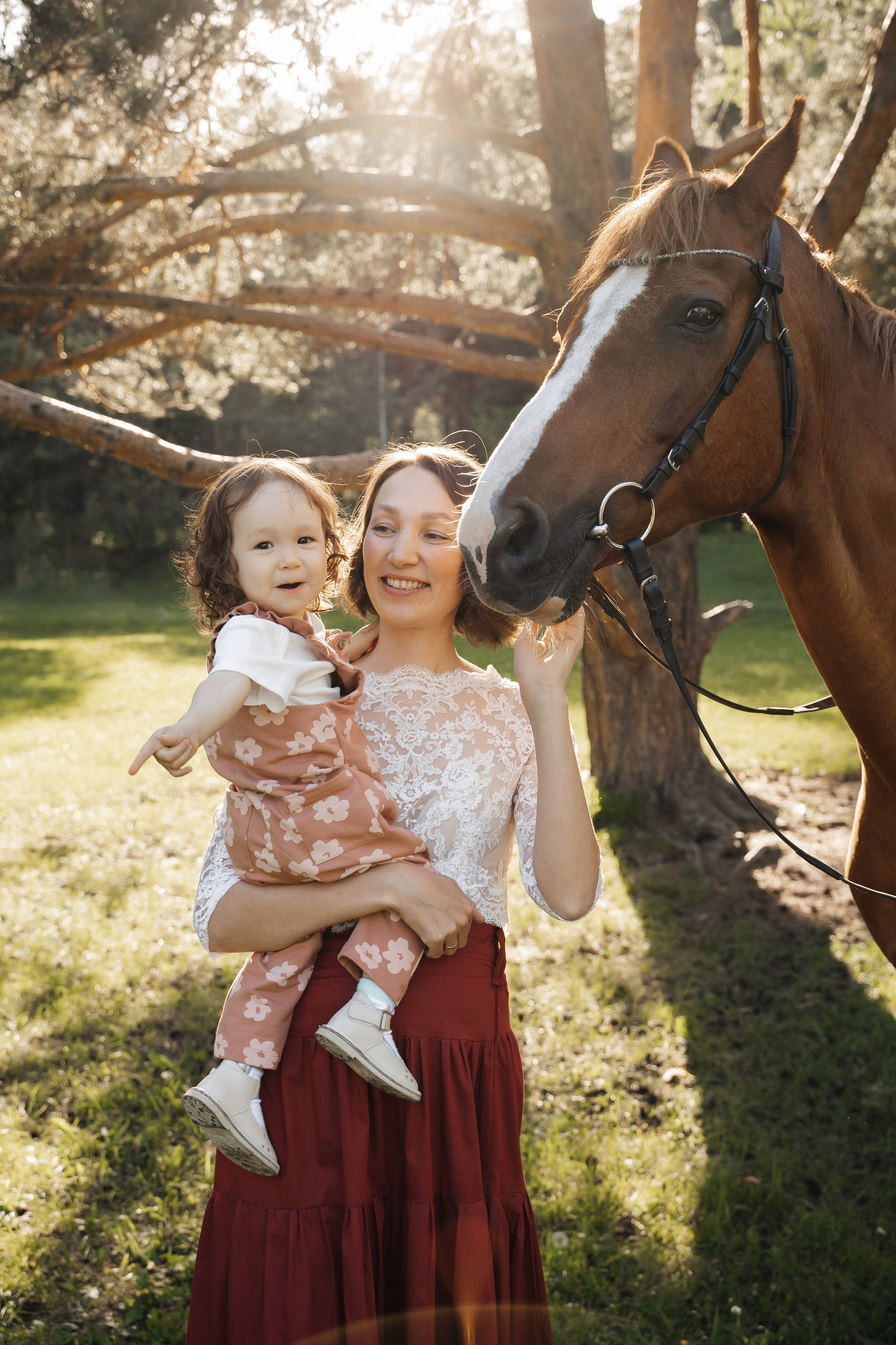 Семейная история с лошадьми. Главная