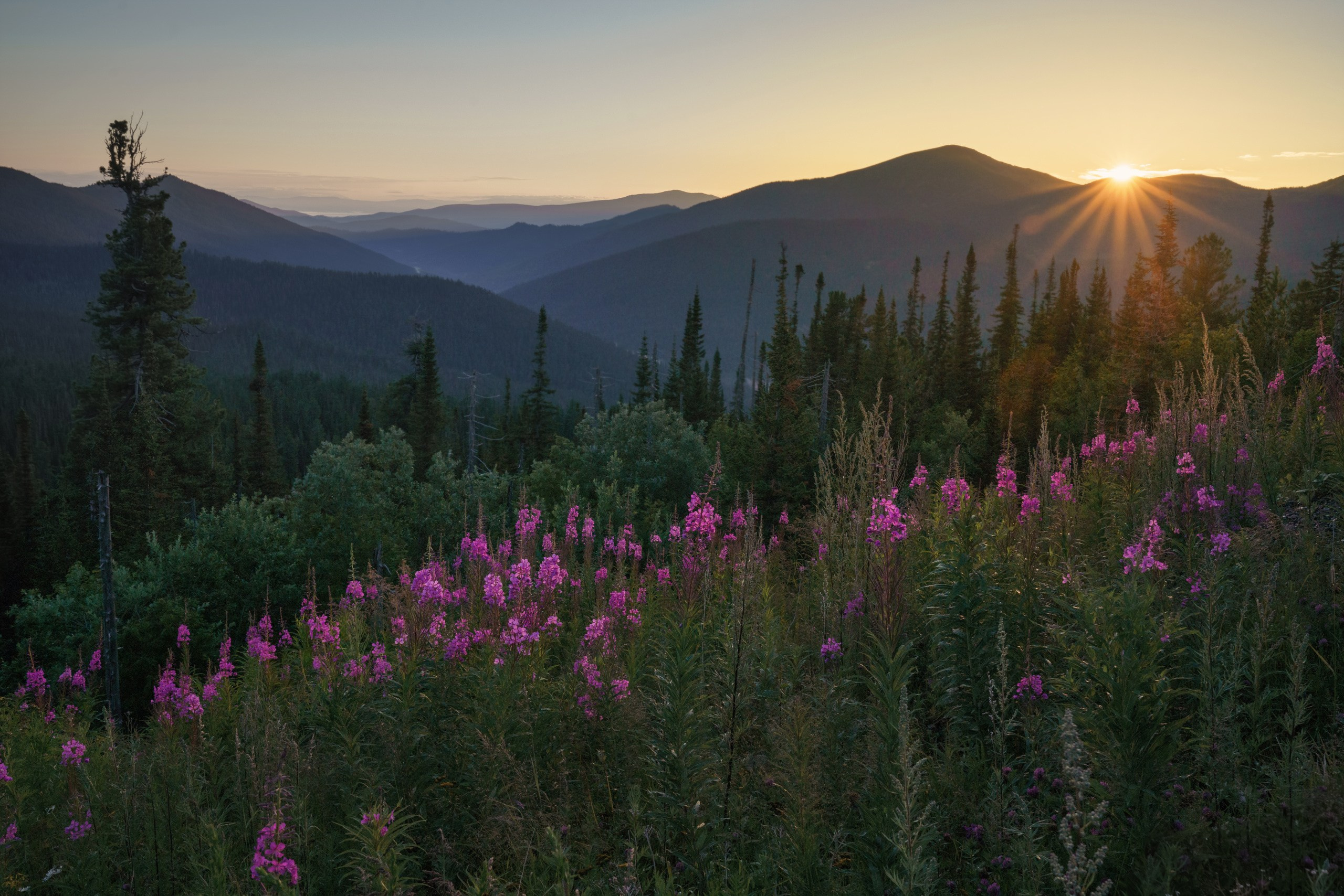 Ергаки. Фотограф в Красноярске Нерозя Александр. Пейзаж, природа, портрет