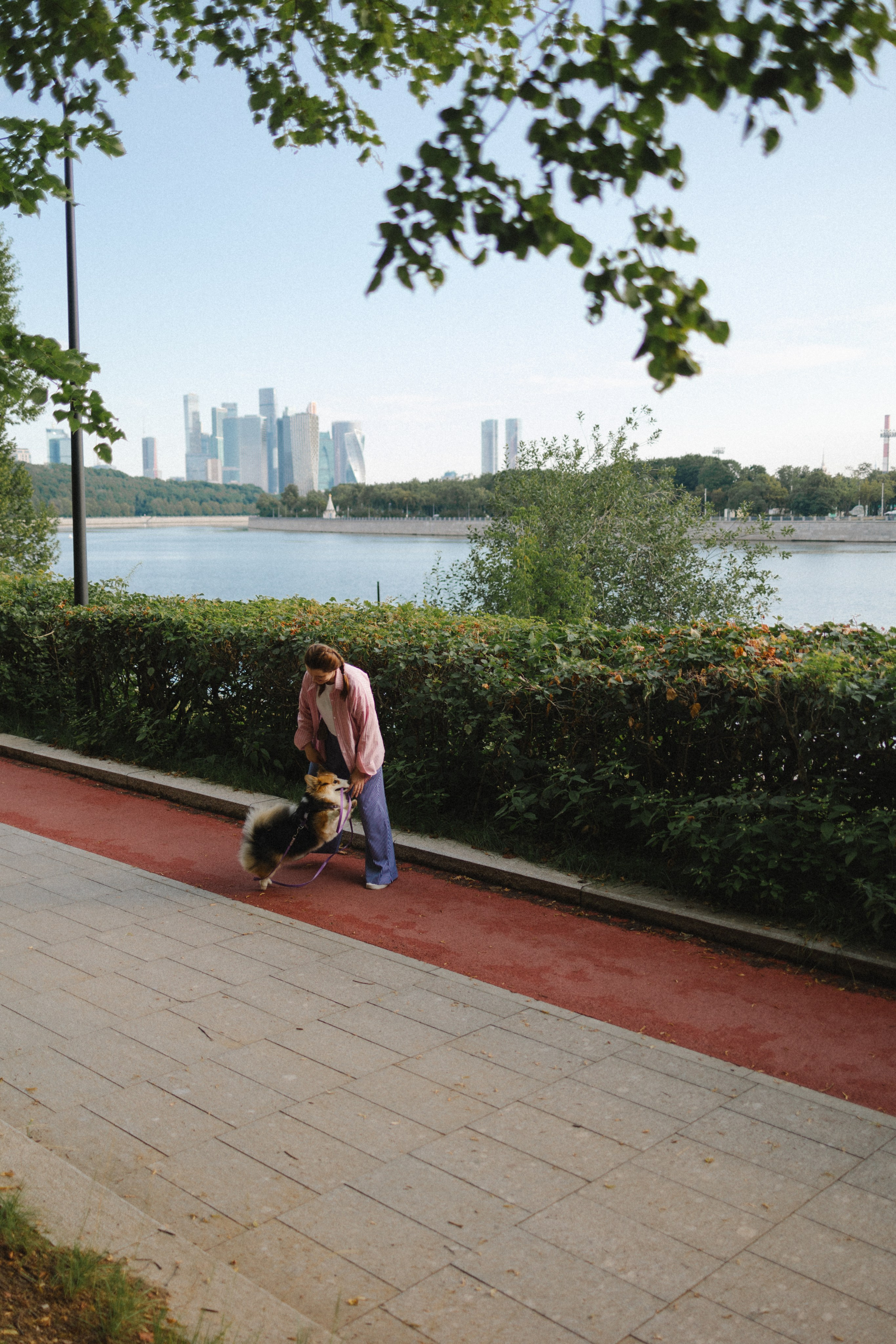 Мишель и Влада. Фотораф — анималист Мария Шистка