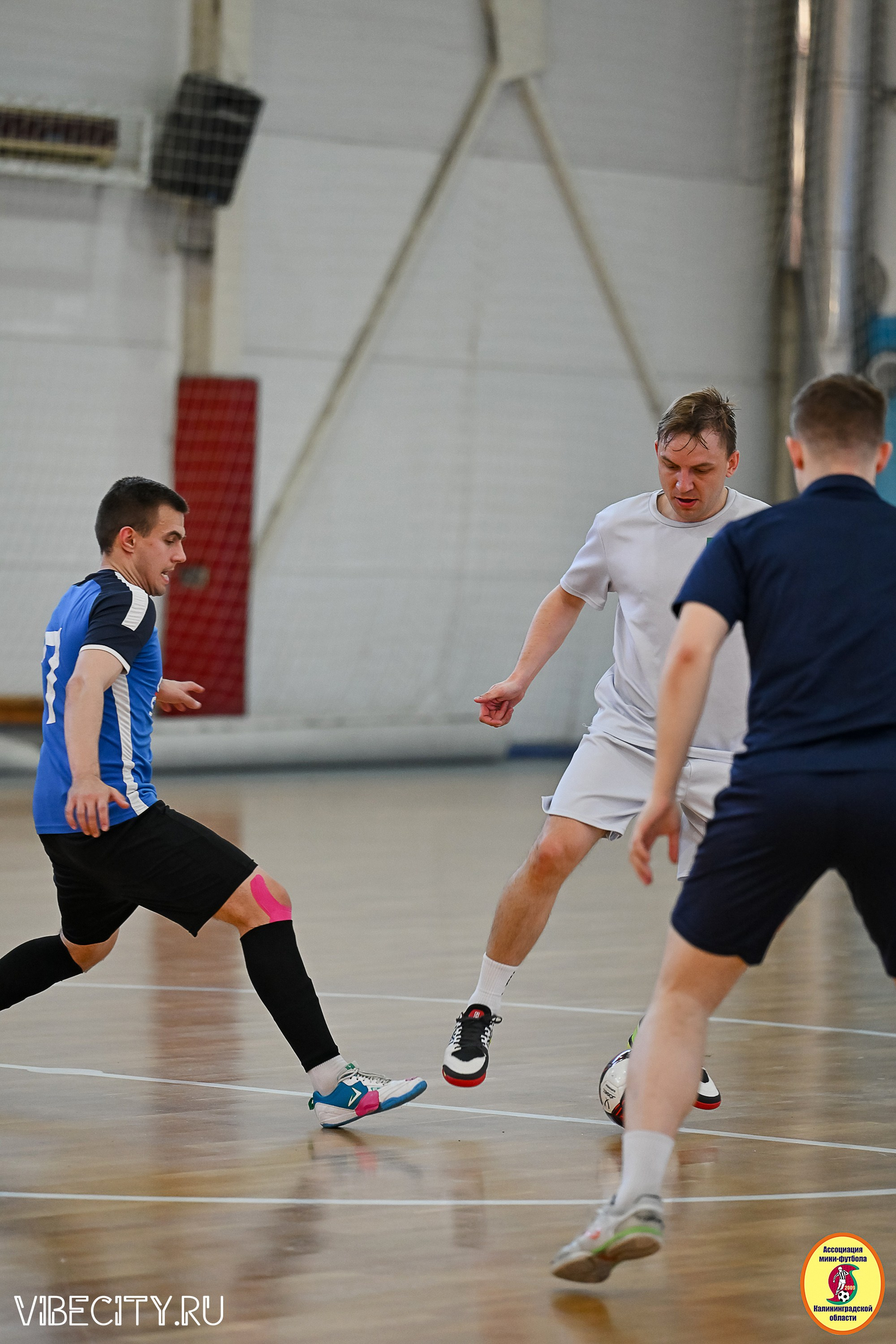 МФЛ СанТермо. VIBECITY.RU Вайб Сити Ру Фоторепортажи Фотоотчеты Калининград