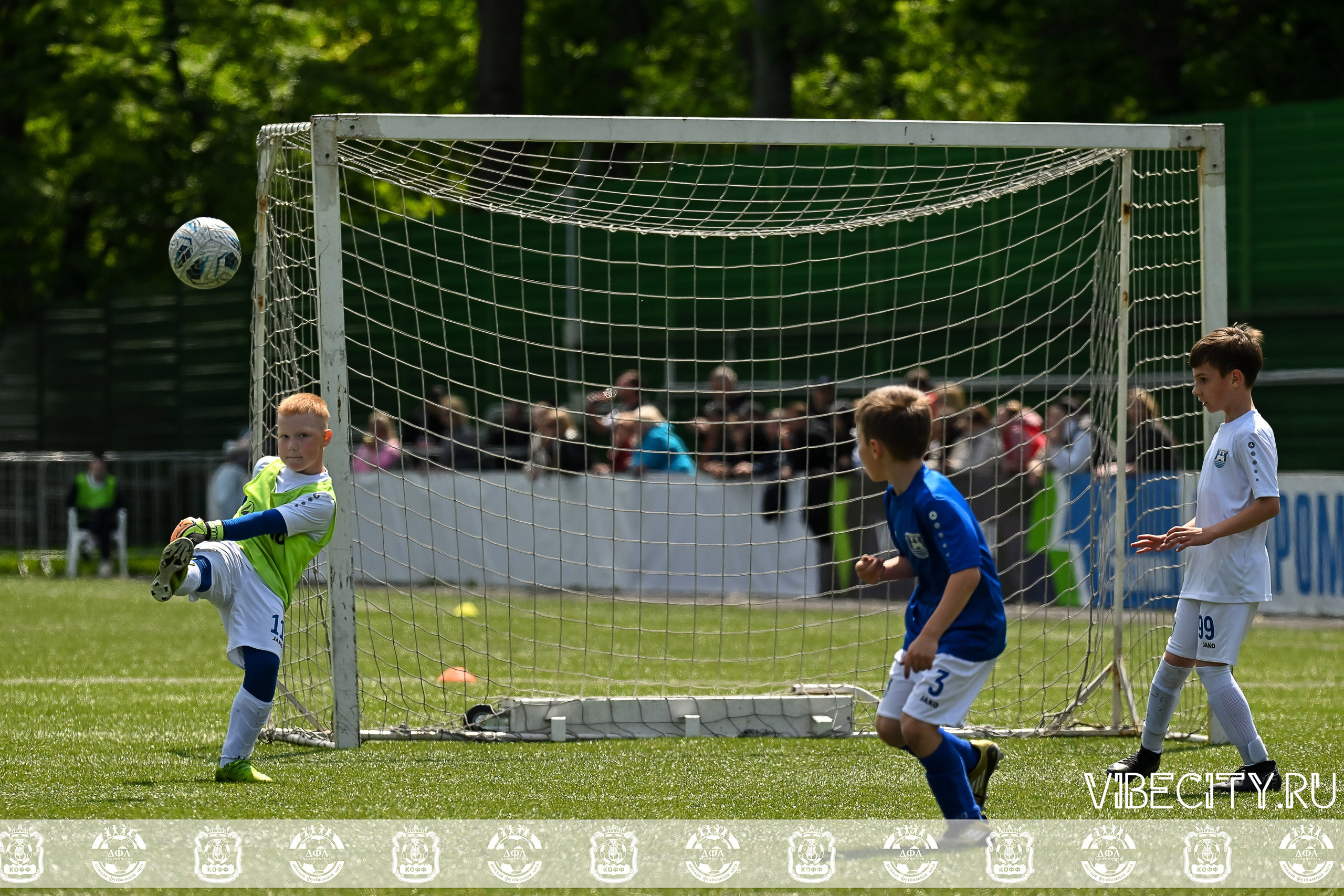 Большие Звезды светят Малым. VIBECITY.RU Вайб Сити Ру Фоторепортажи Фотоотчеты Калининград