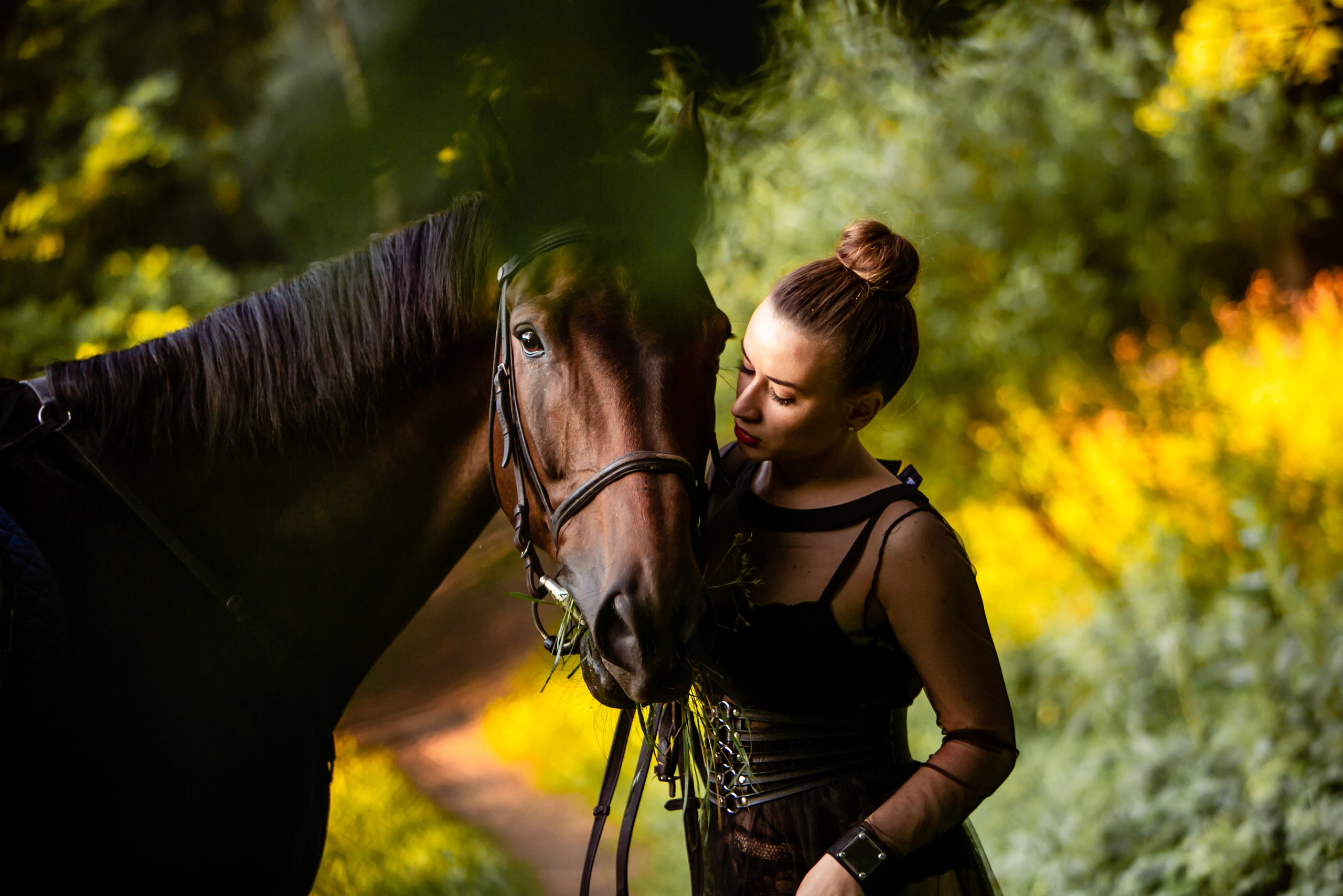 Фото с лошадьми. Фотограф Елена Лагода