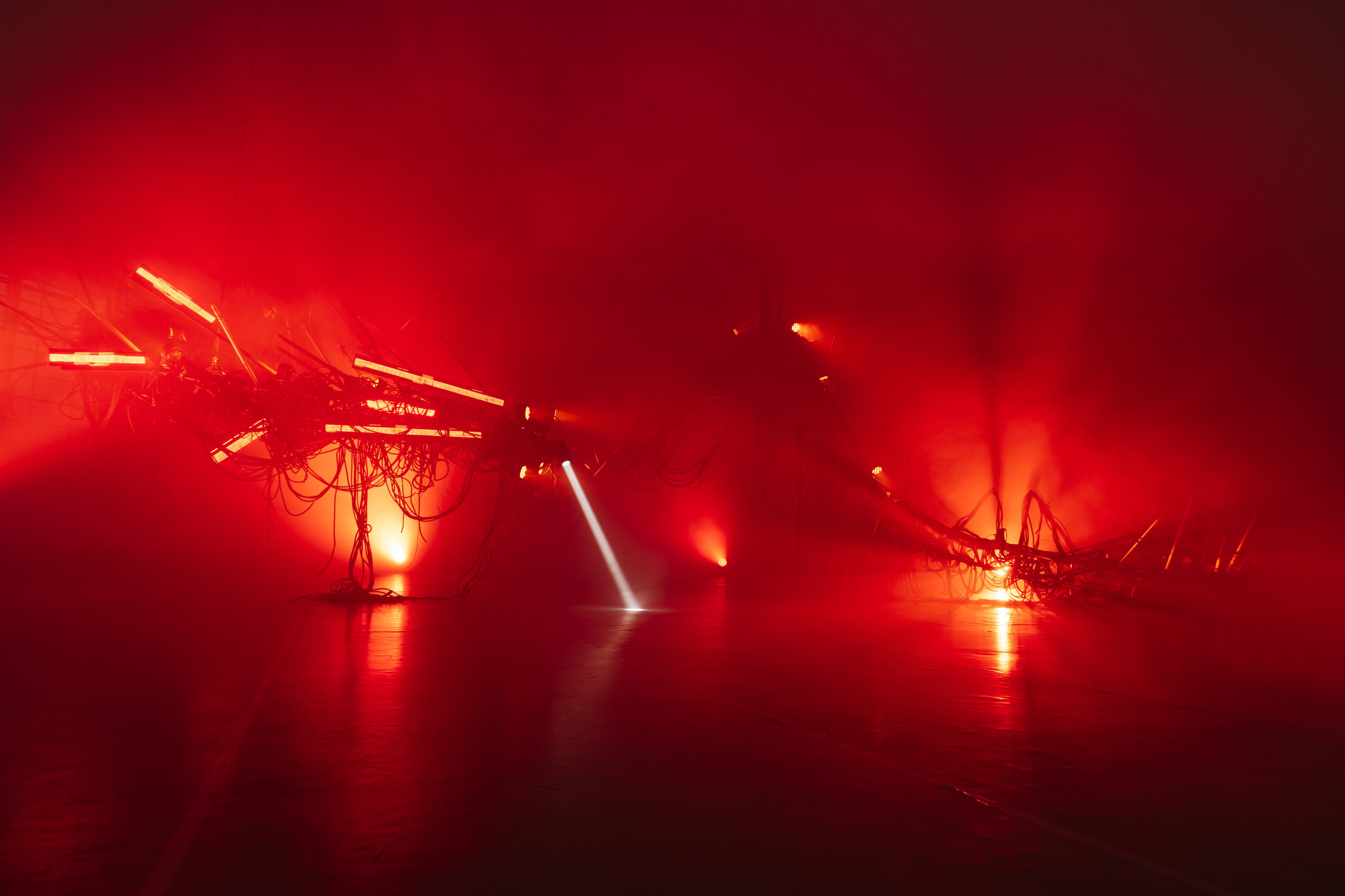 PANTERRA, CHRONOMORPH 001. @tomrus: Рустам Шагиморданов — фотограф