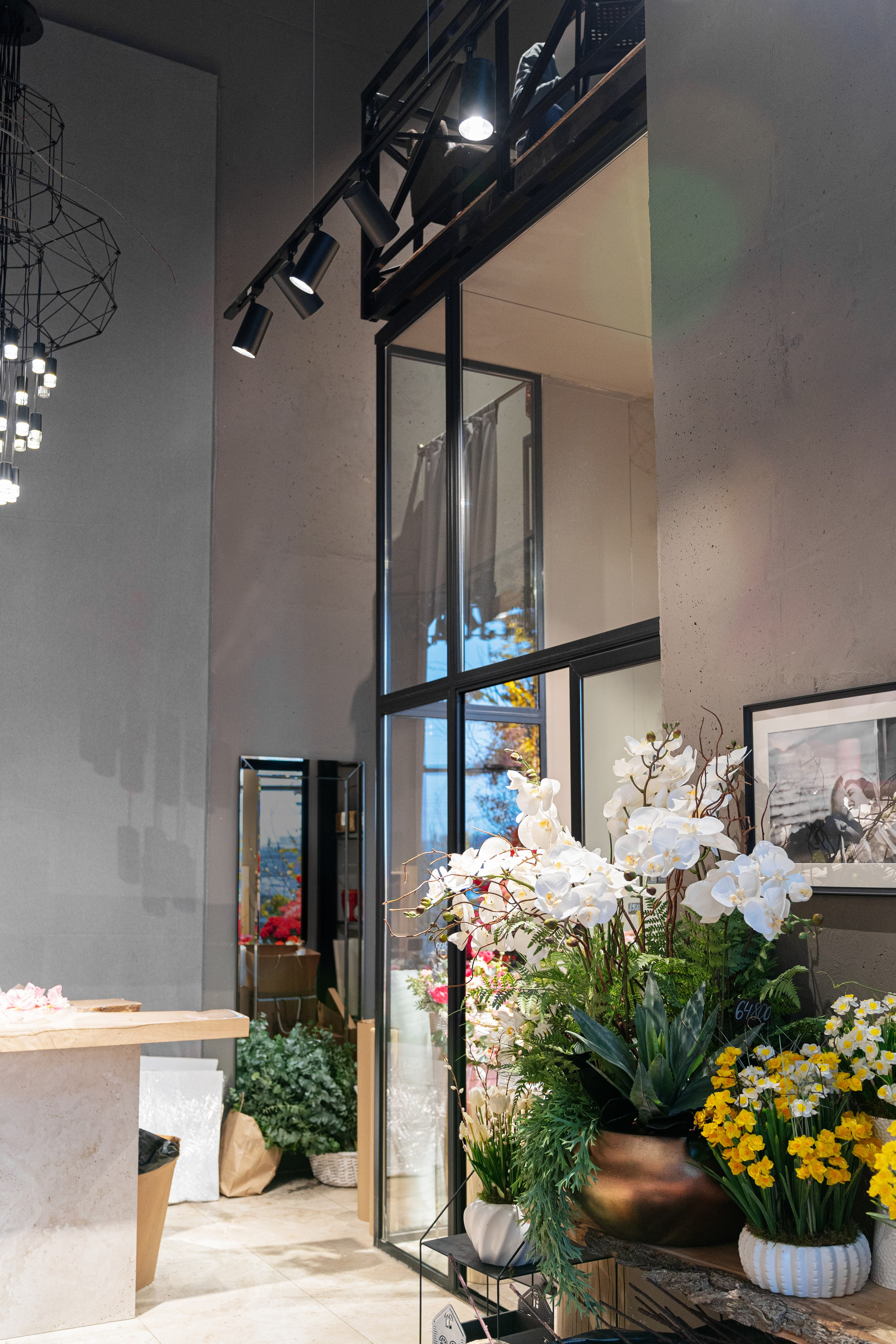 Регион холод. Елена Пашкевич, фотограф, Москва