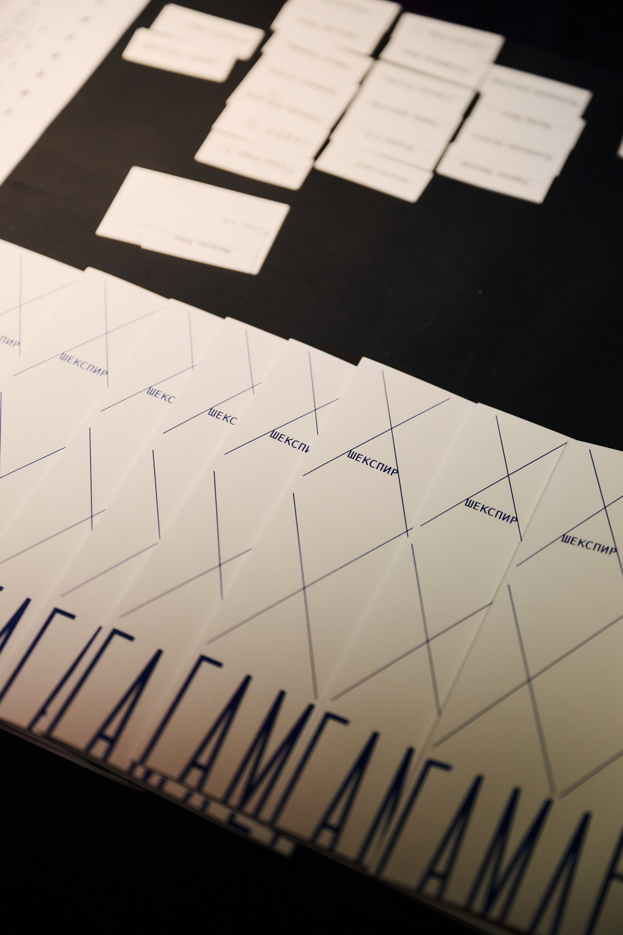 Закрытый показ спектакля «ГАМЛЕТ». Фотограф Сергей Бойко Москва