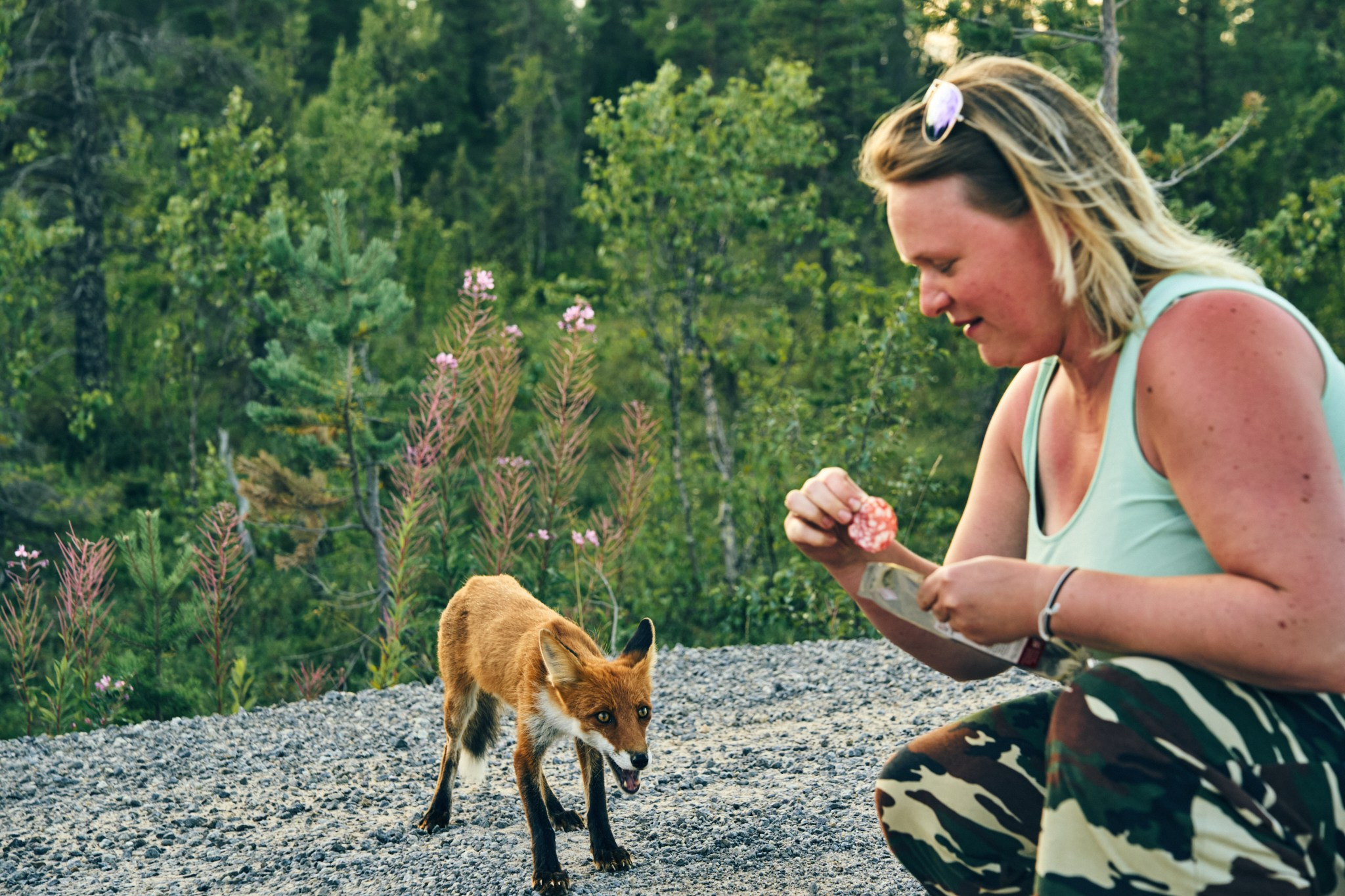 Путешествие на Север в 2023 году. Внедорожные путешествия — OFFROADTRIP