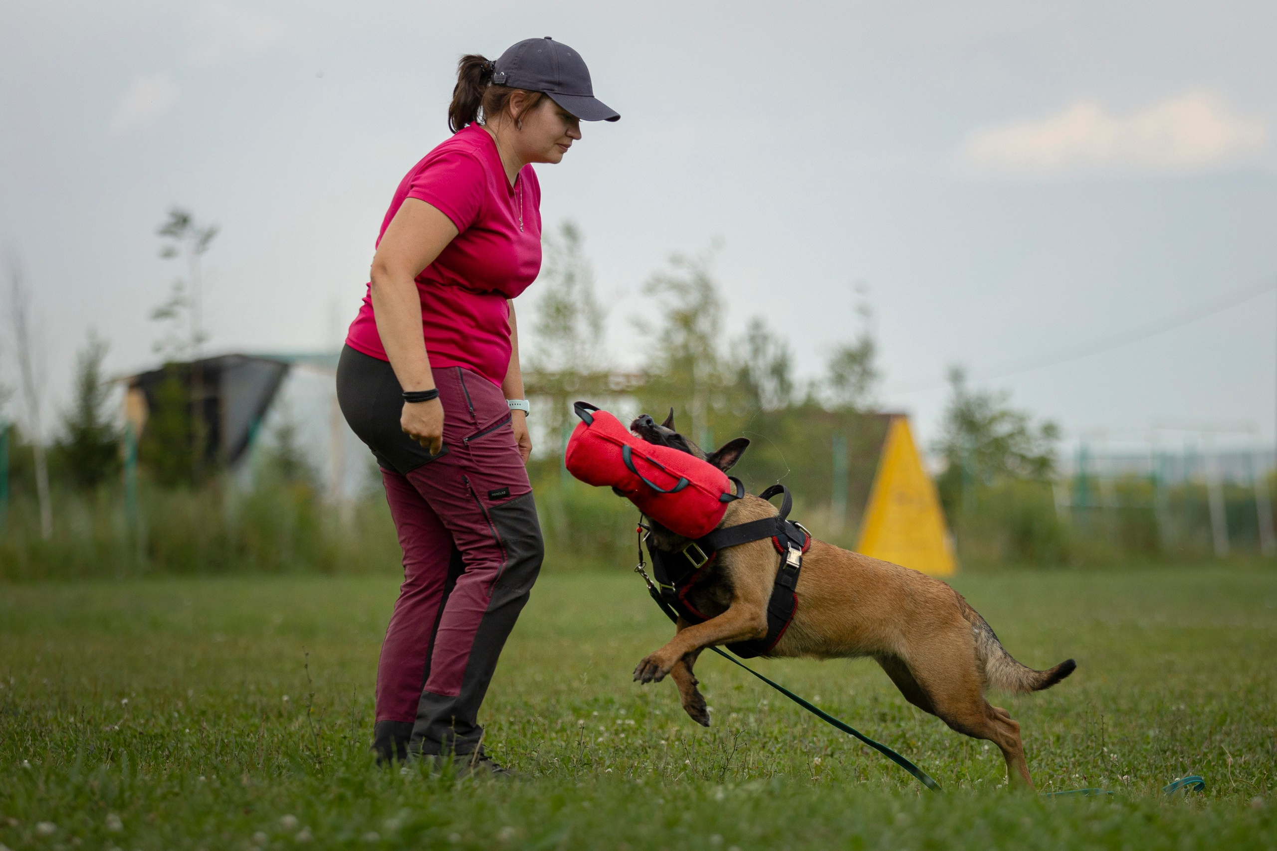 ЗКС. Фотограф анималист, семейный фотограф, фотограф собак Комратова Мария. г. Москва