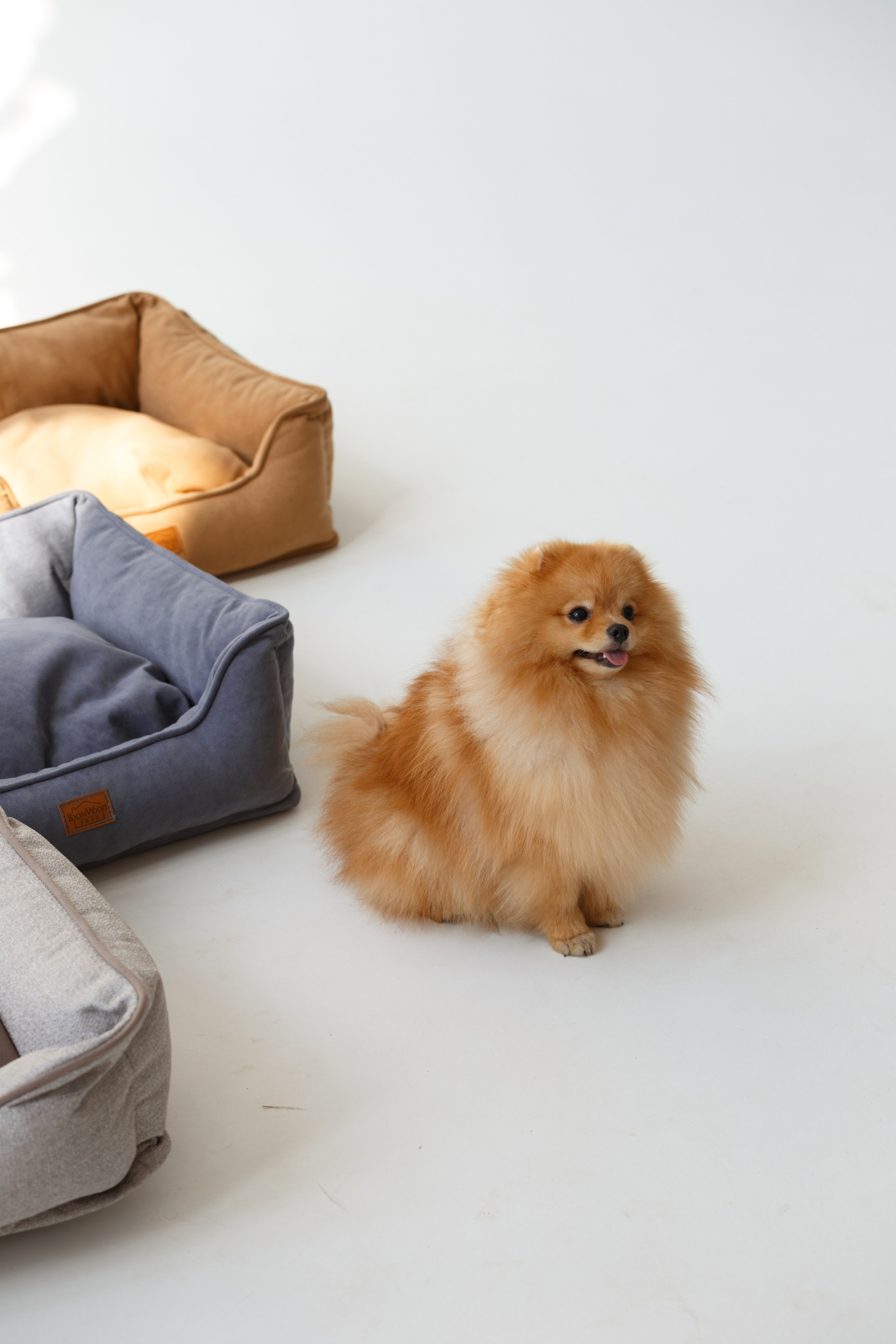 Boonwood Pets лежанки для животных. Фотограф анималист Кристина Карпова, Москва