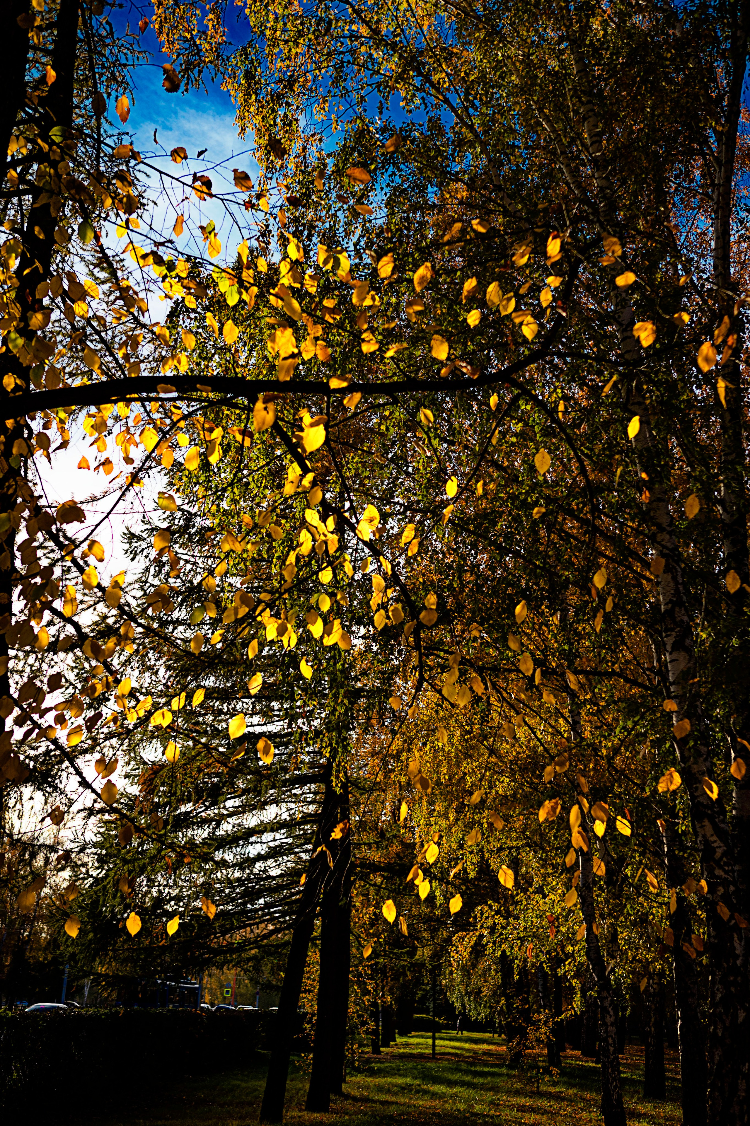 А это для Души. Фотограф в Стерлитамаке