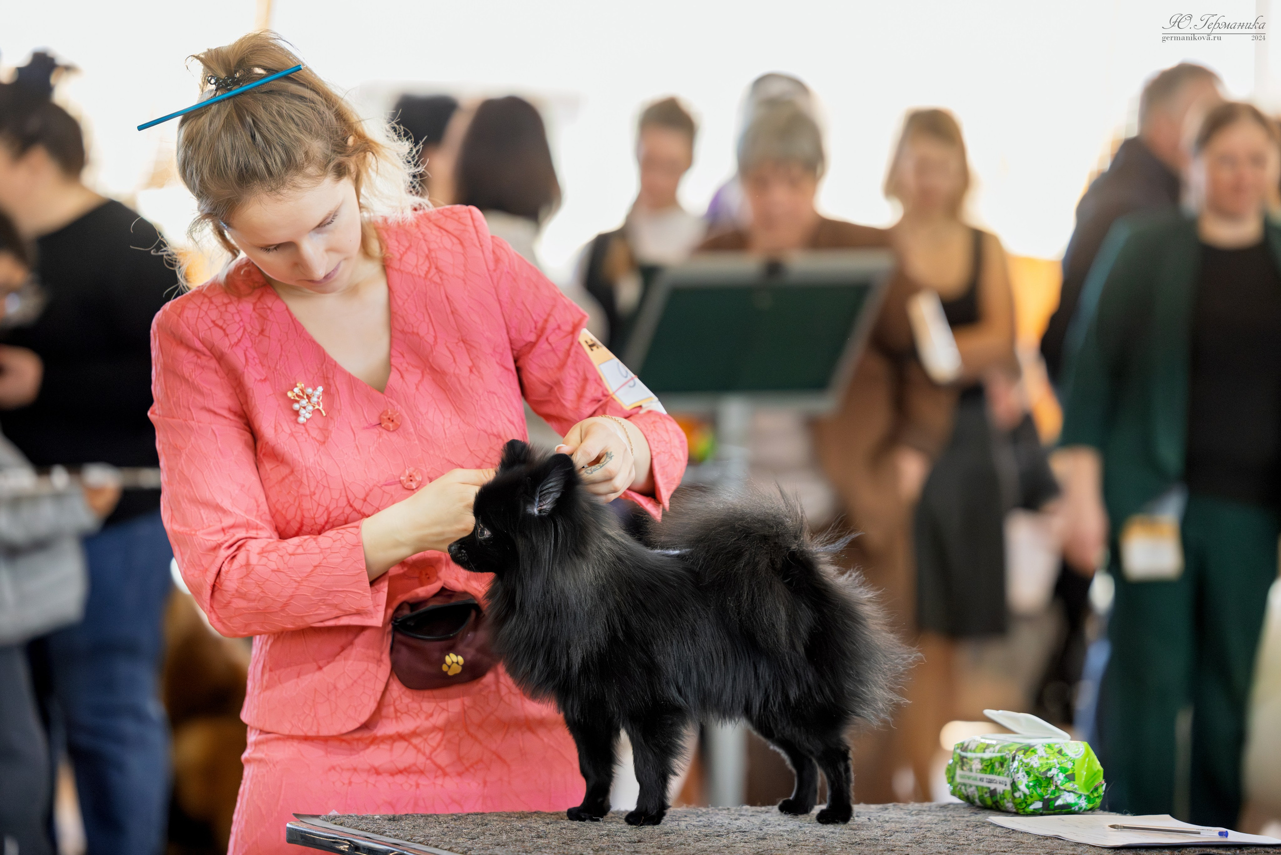 Тверь 23.03.2025. Фотограф-анималист Юлия Германика