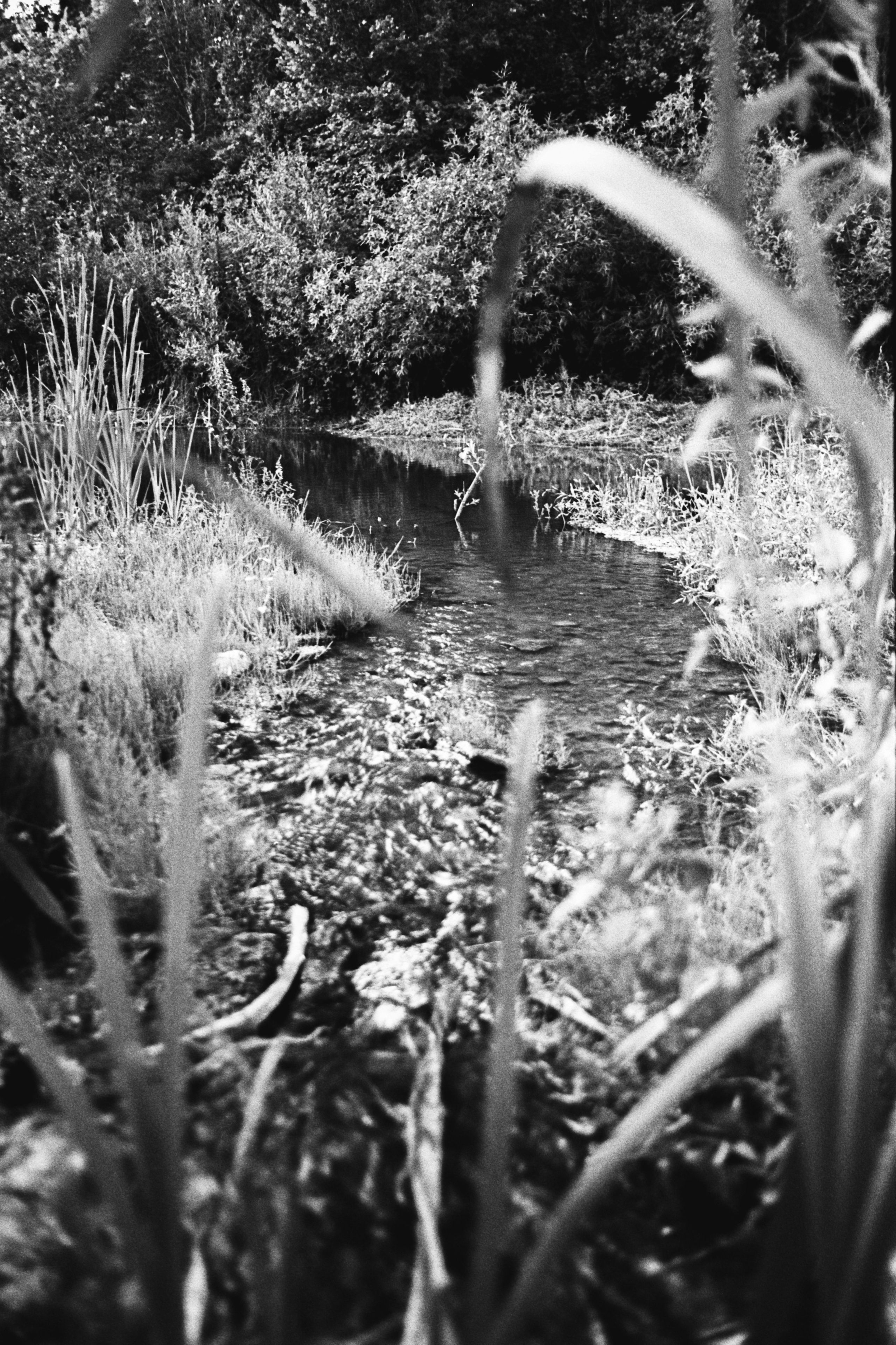 Пленочная история. Дмитрий Пропадалин, Нейрофотография