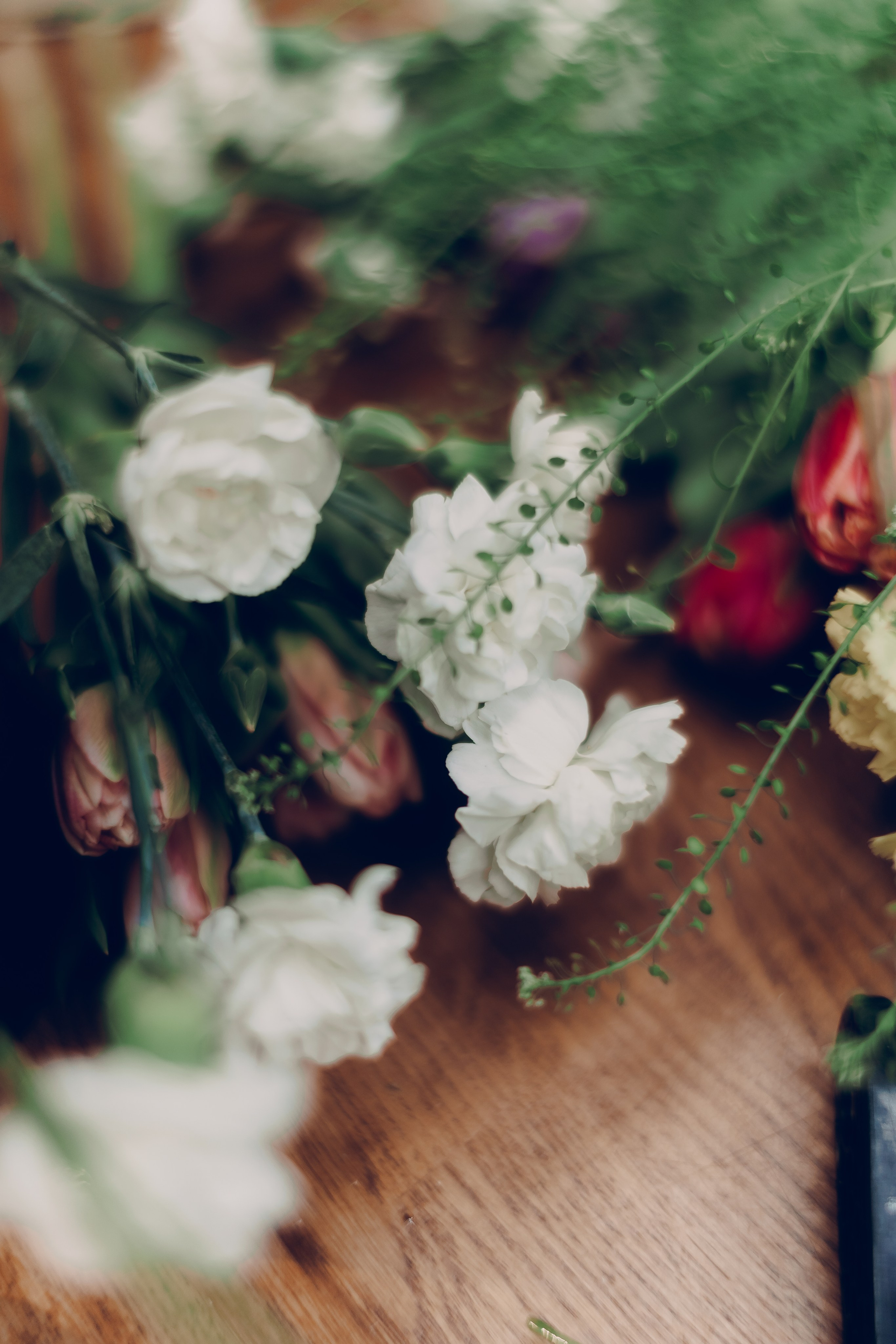 Botanical. Портретный и свадебный фотограф в Москве и Санкт-Петербурге. Учитель фотографии онлайн и оффлайн