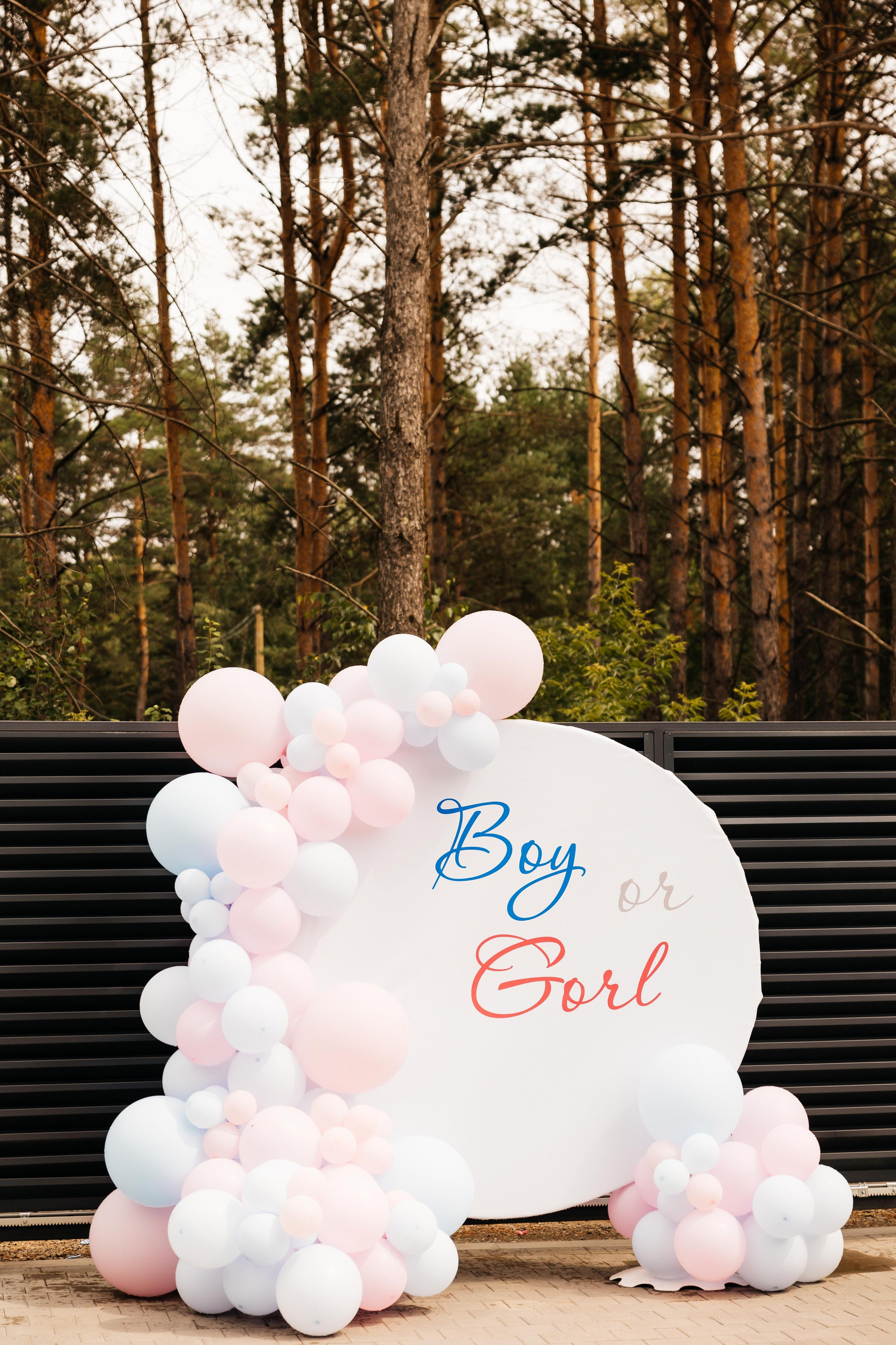 Гендер Пати Вечеринка. У нас будет…. Свадебный и семейный фотограф Рассказова Виктория