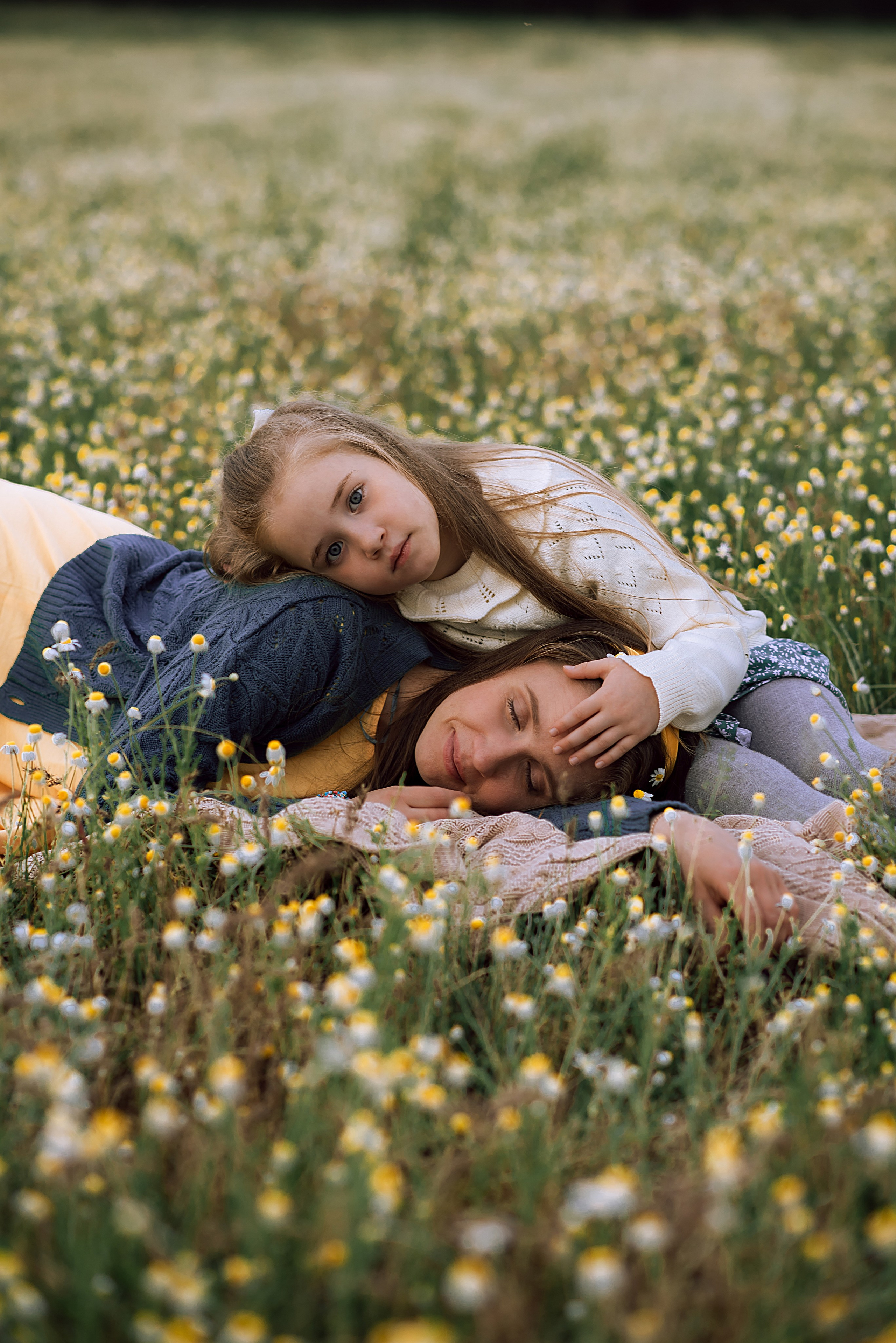 Ромашковое поле, полное любви. Главная