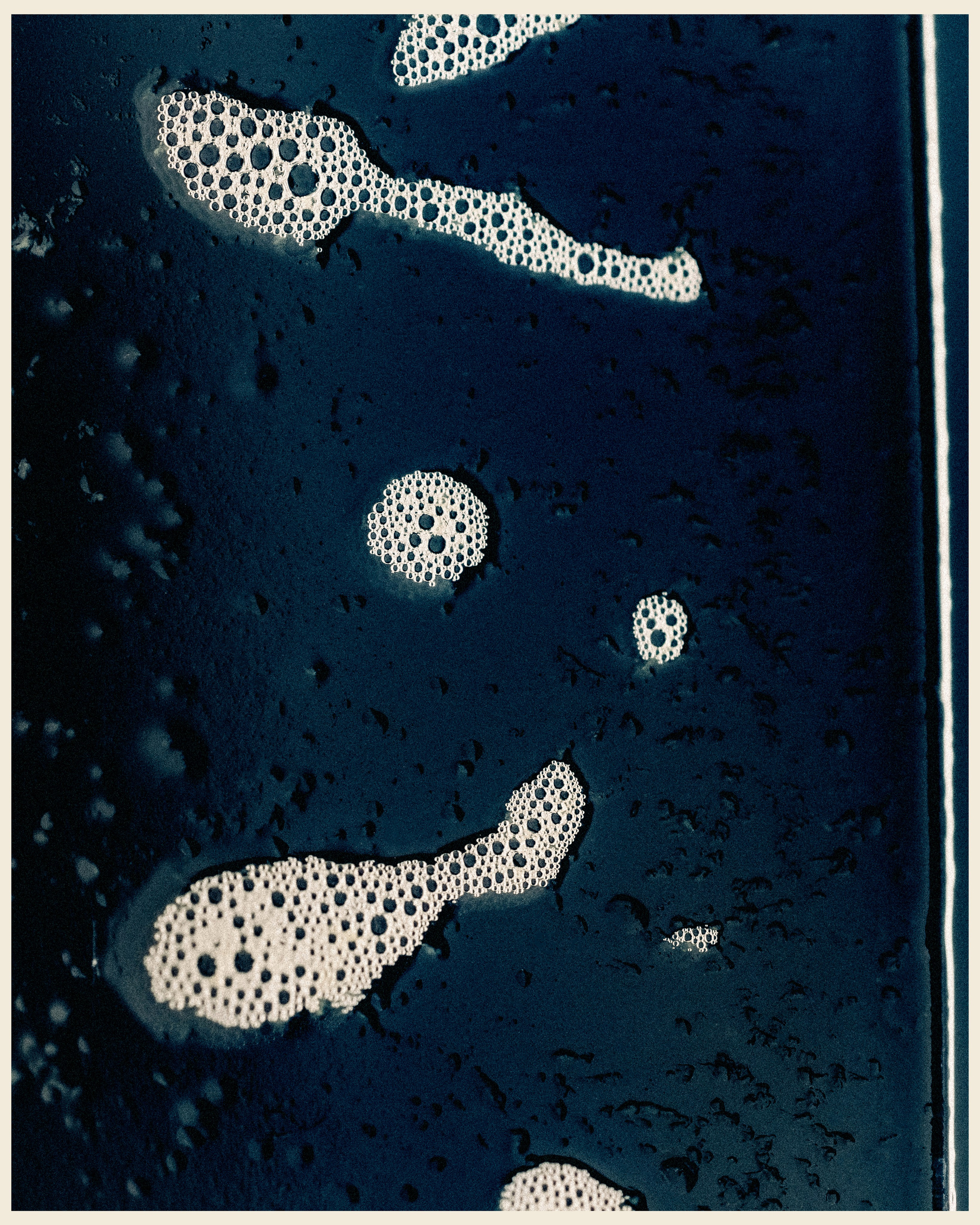 RAY BAR x VANO. Ivan Petrov photographer