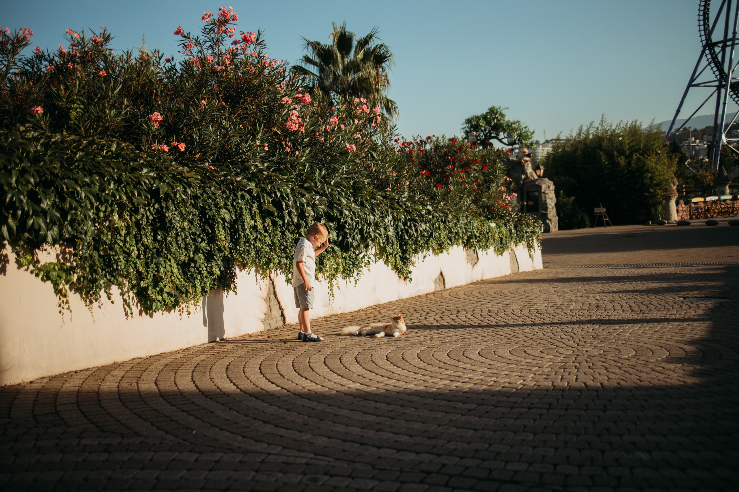 Отель Богатырь (Сириус). Фотограф Сочи Татьяна Зорина