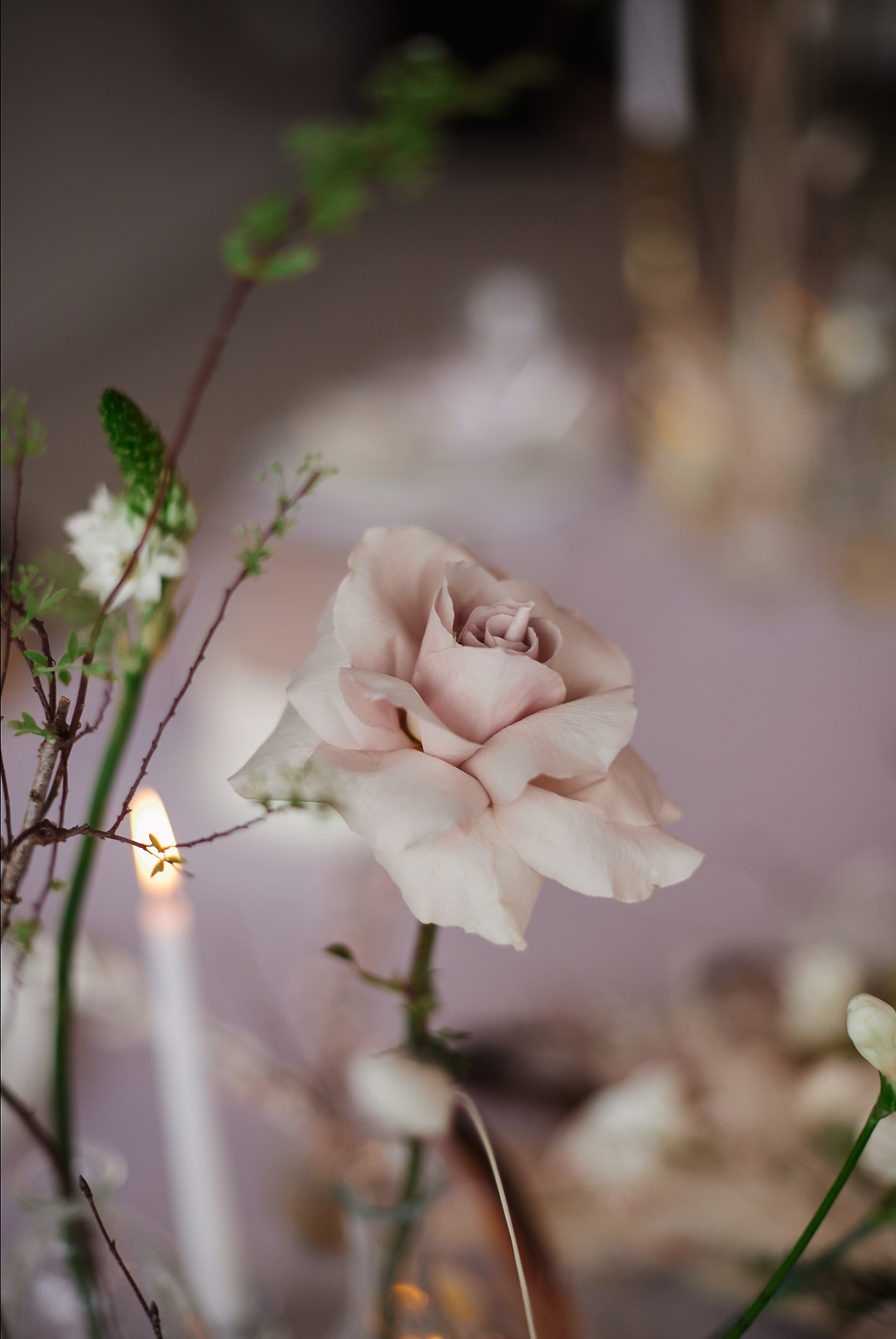 Свадебное портфолио. Главная