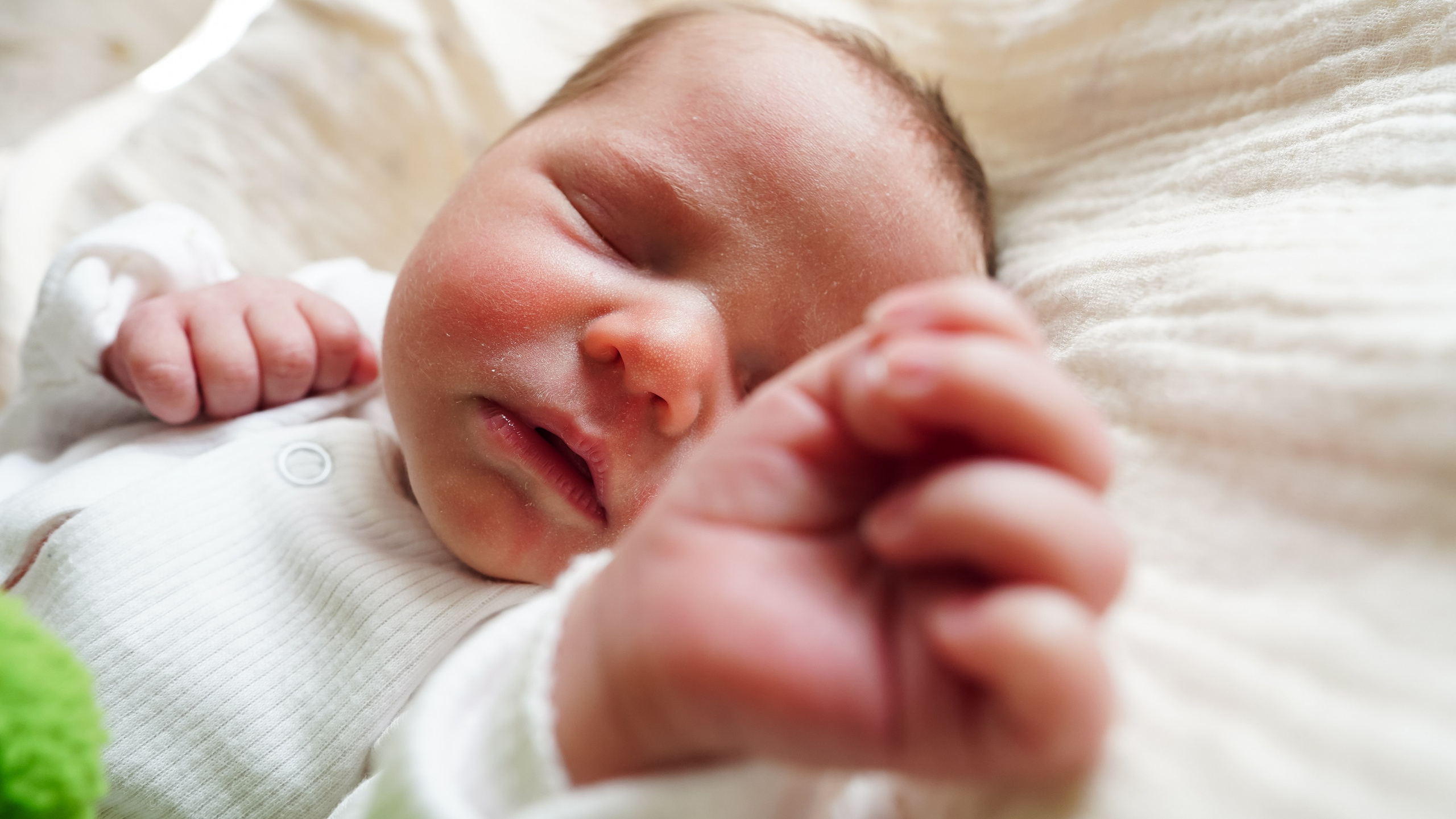 Вера. Семейный и детский фотограф в Москве (Тинао) Галкина Алевтина