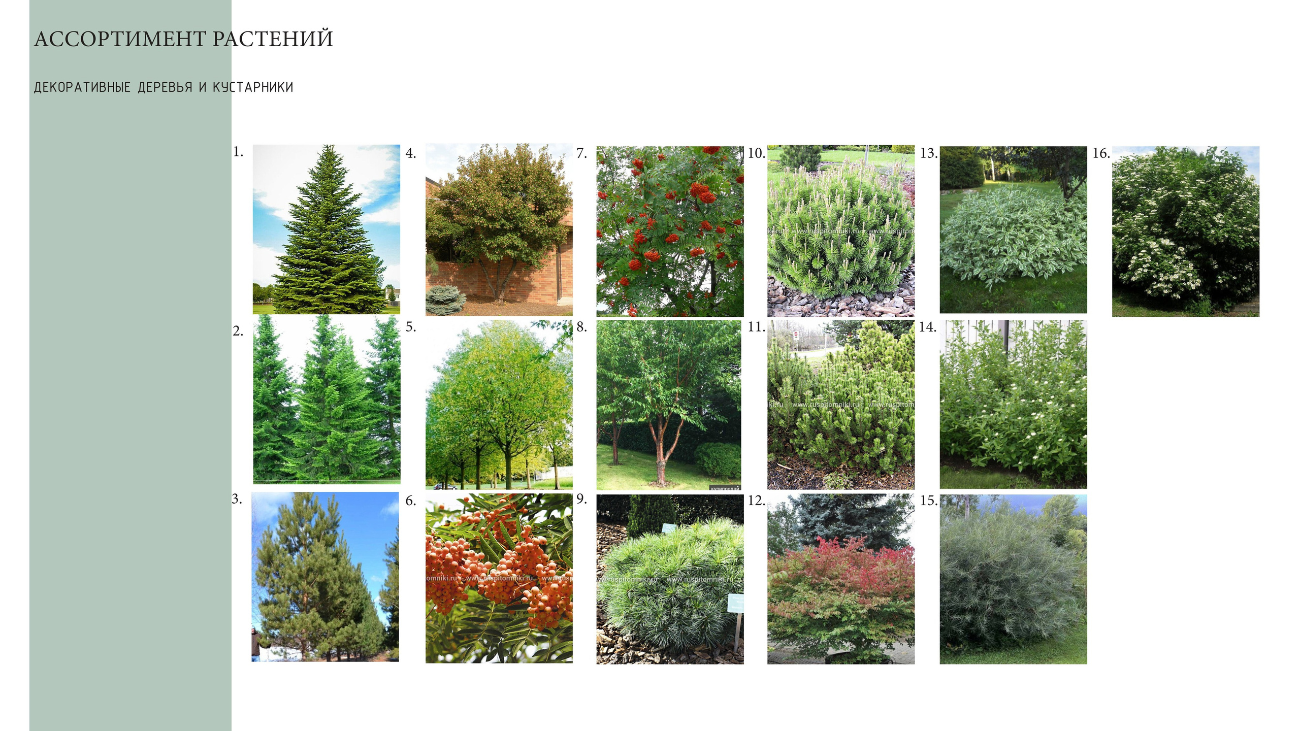 Ландшафтный проект. Ландшафтная архитектура, проектирование и дизайн садов
