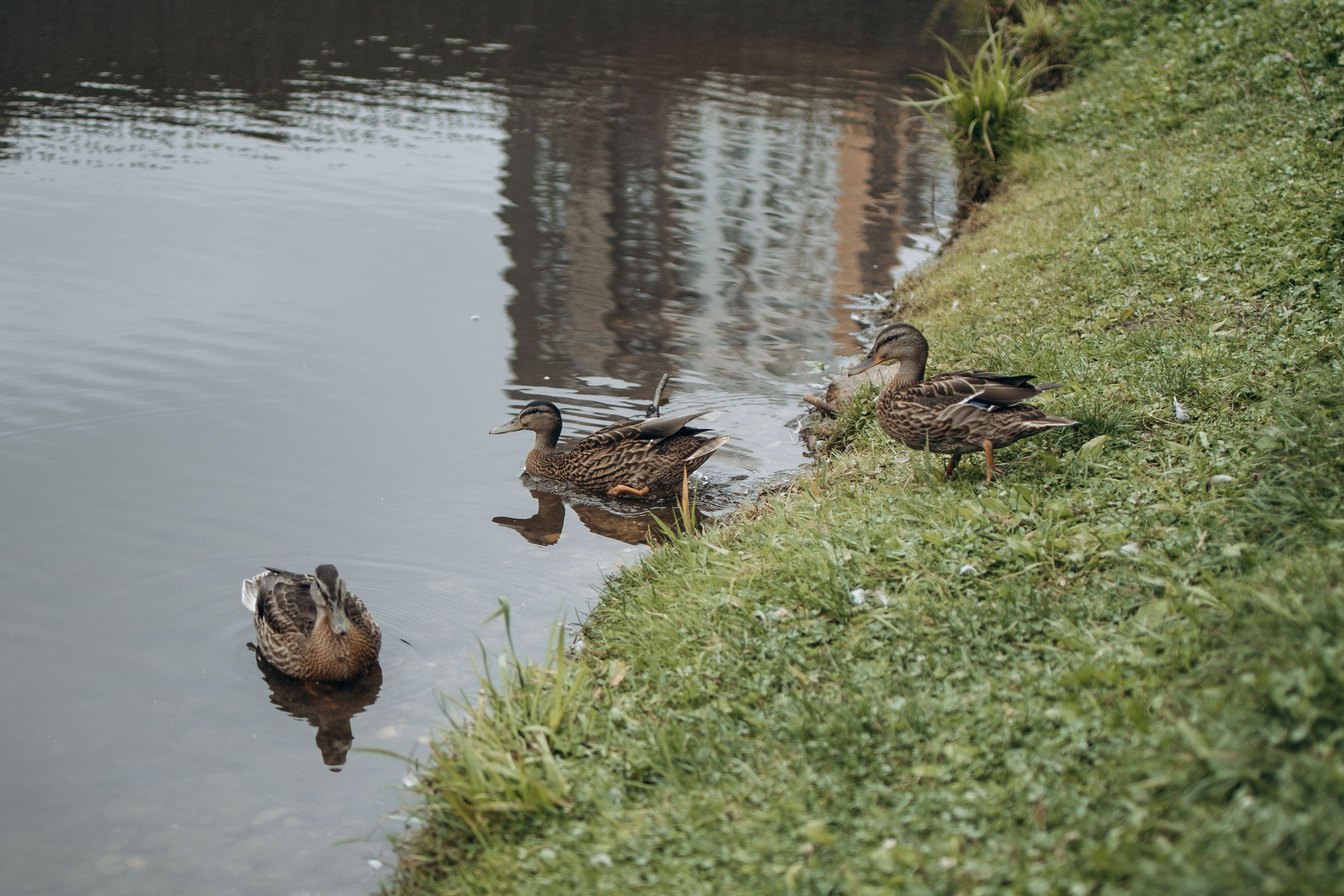 Семья Марины