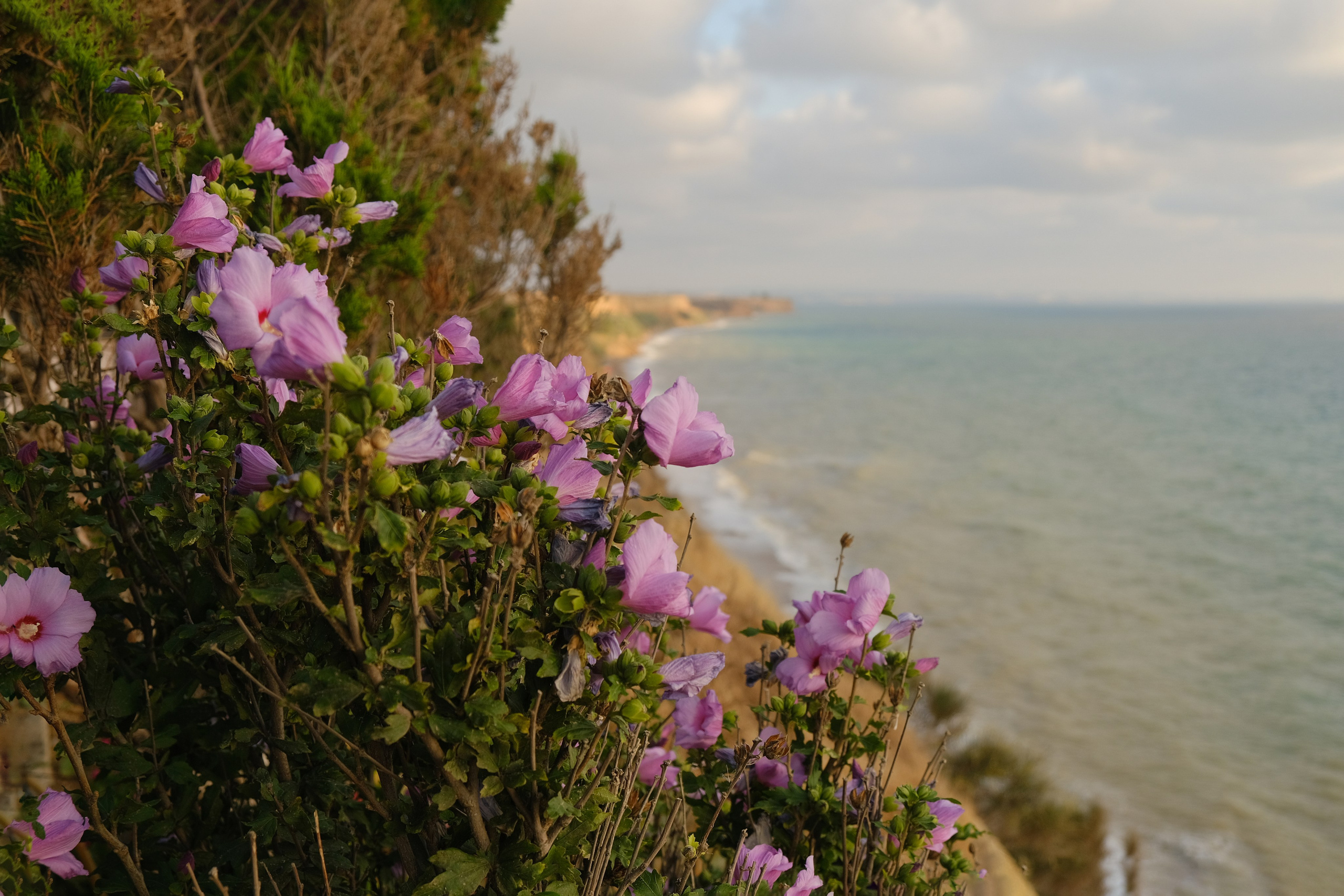 На Море. Профессиональная фотосъемка в Крыму. Натуральные эмоции и живые кадры. Забронируйте дату прямо сейчас!