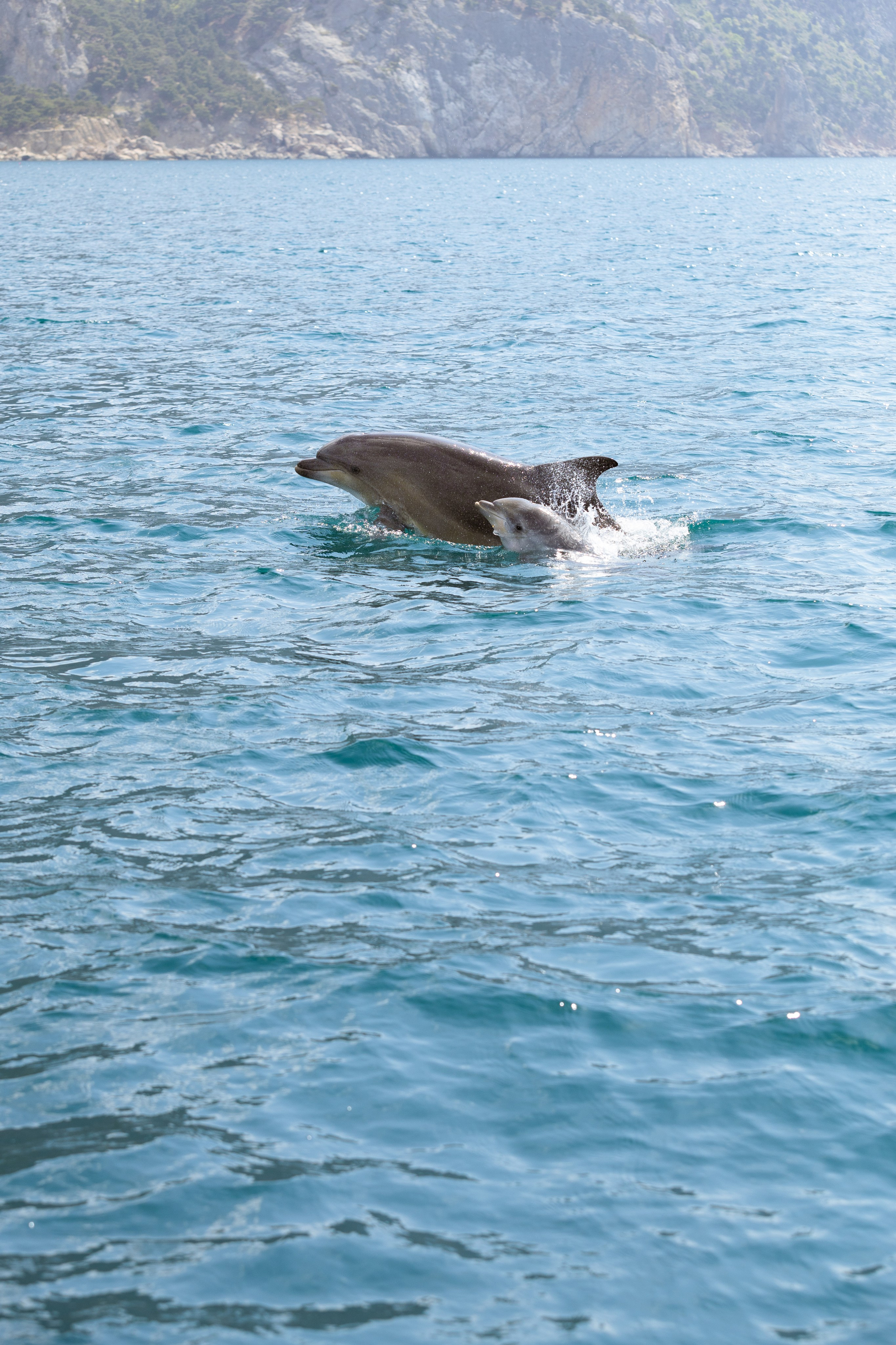 Морская Романтика. Артем Корнев Фотограф