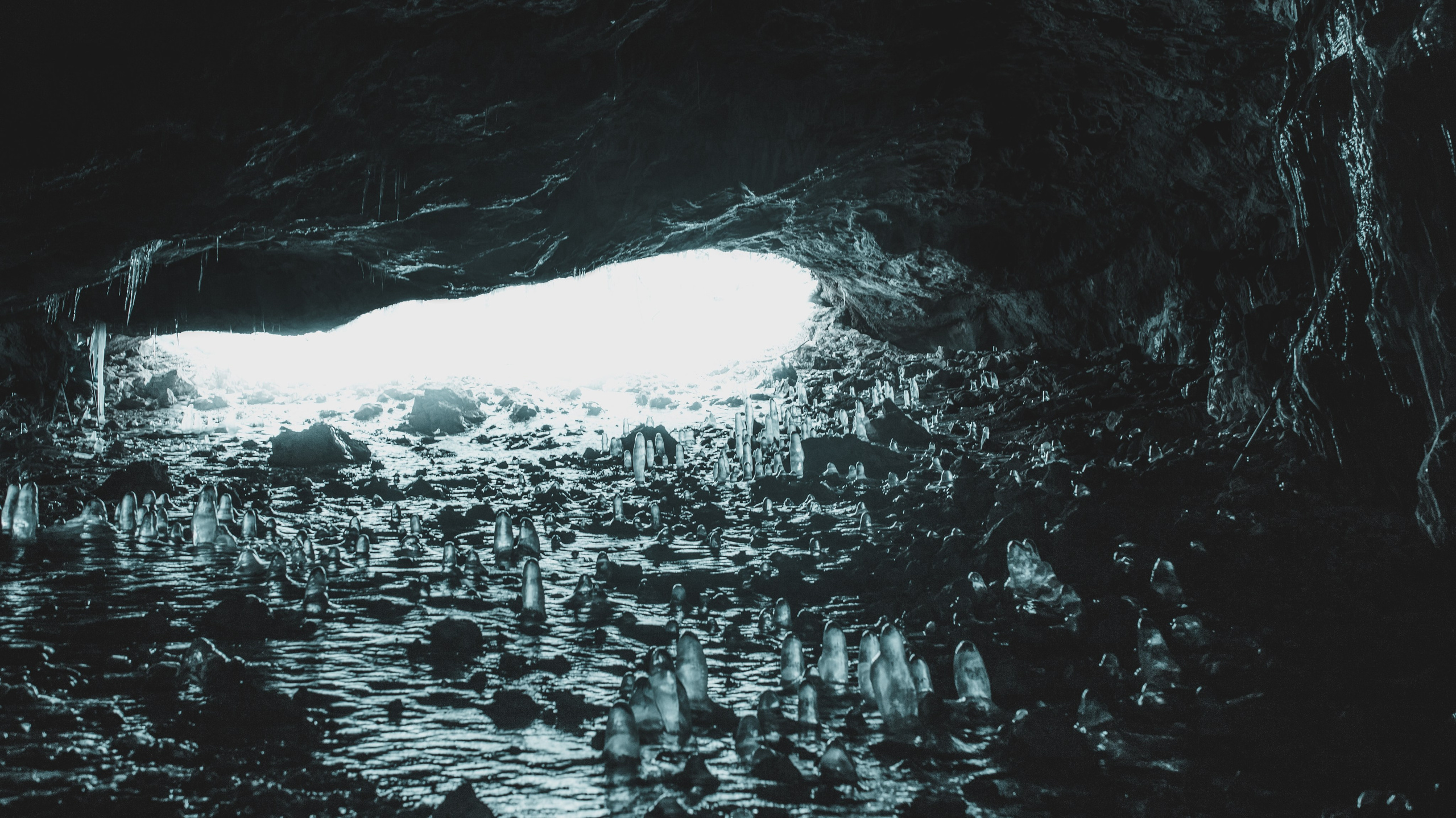 Nature. Артем Корнев Фотограф