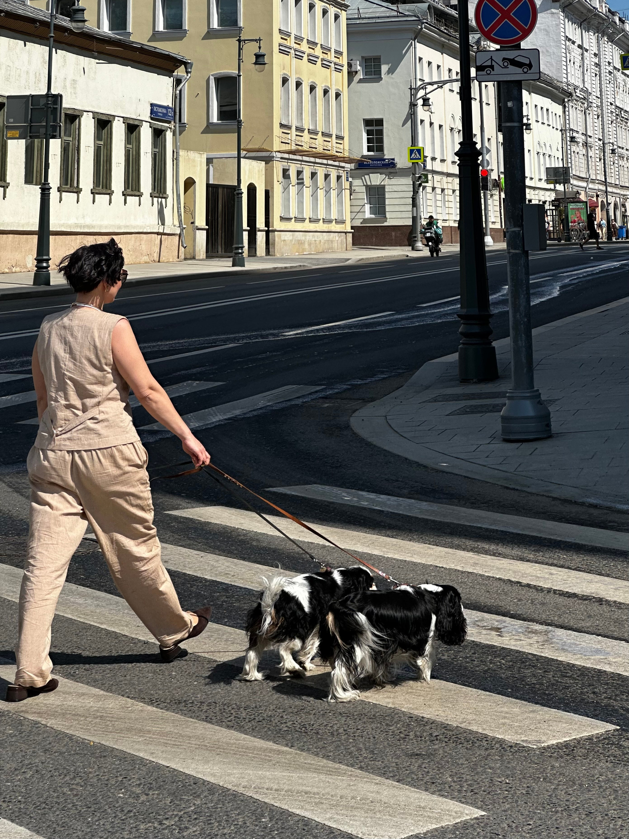 Собаки меняют жизнь. Фотограф-видеограф Екатерина Куликова в Москве и МО