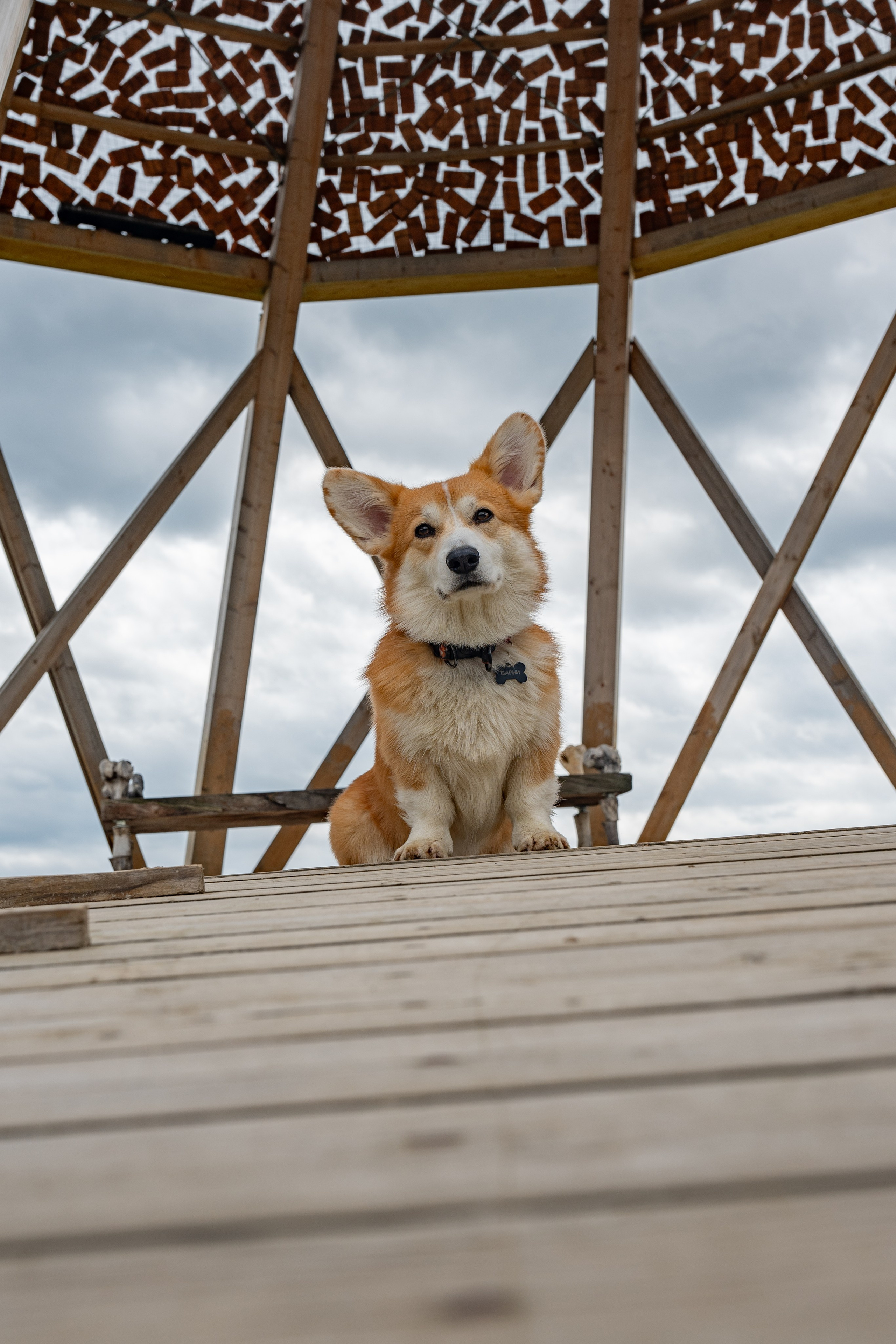 Арт-парк Никола-Ленивец. Gusarov Travel Photography