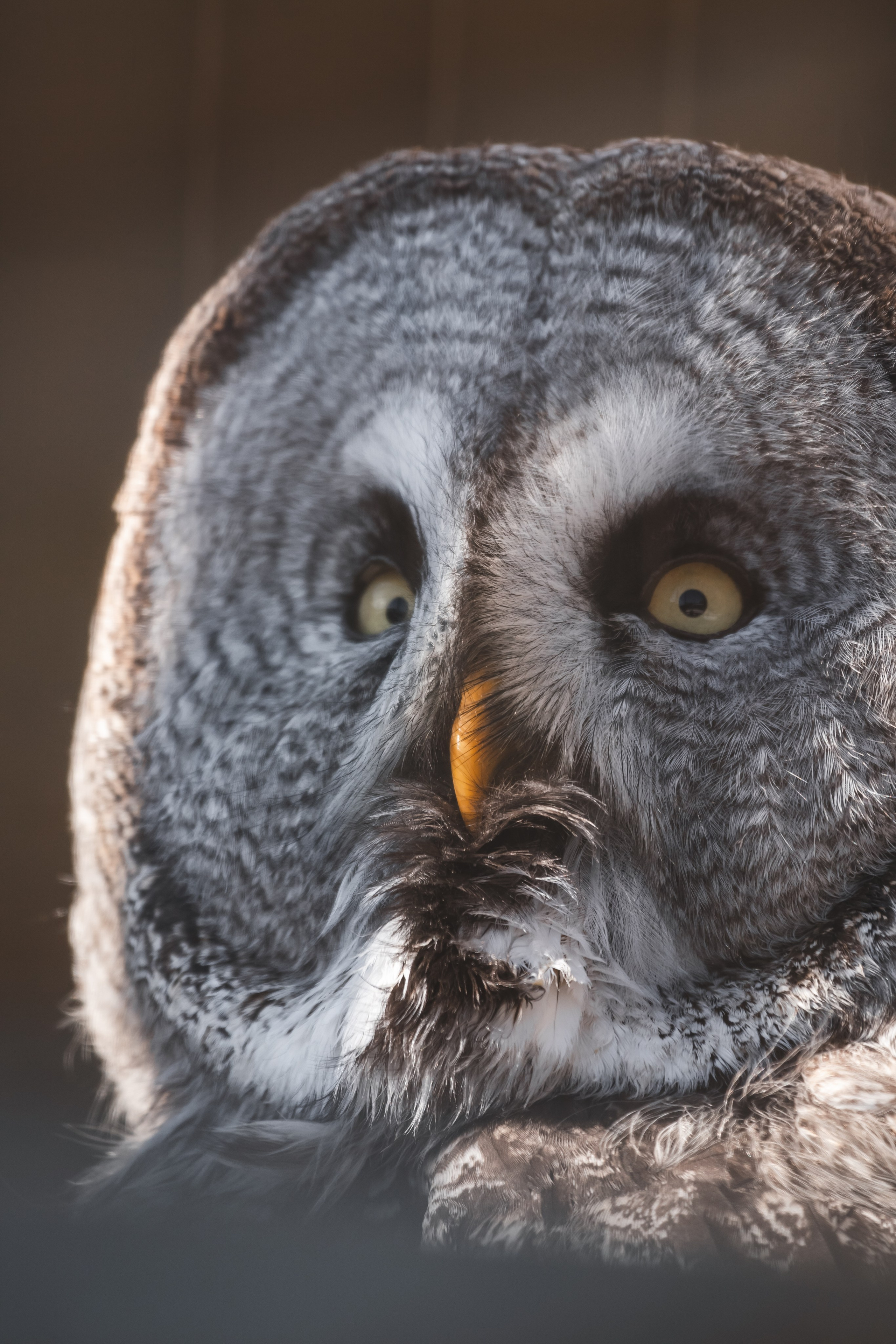 ПРИРОДА. Фотограф Александр Бормотин