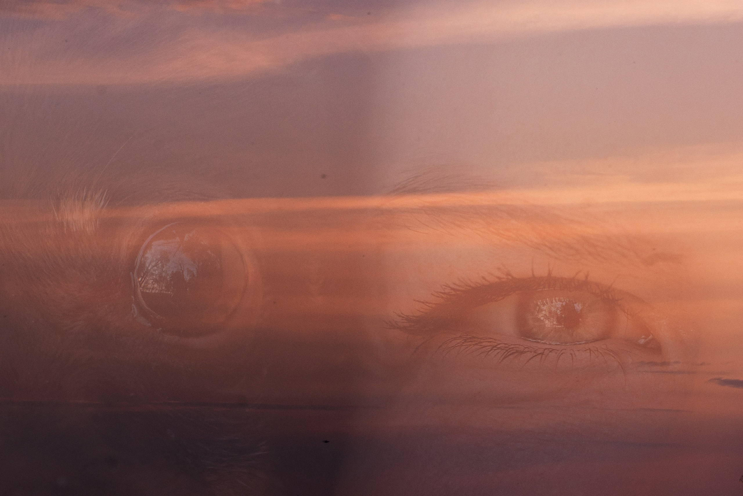 Марина и Мышка. Фотограф анималист в Москве и Санкт-Петербурге Свиридова Анна